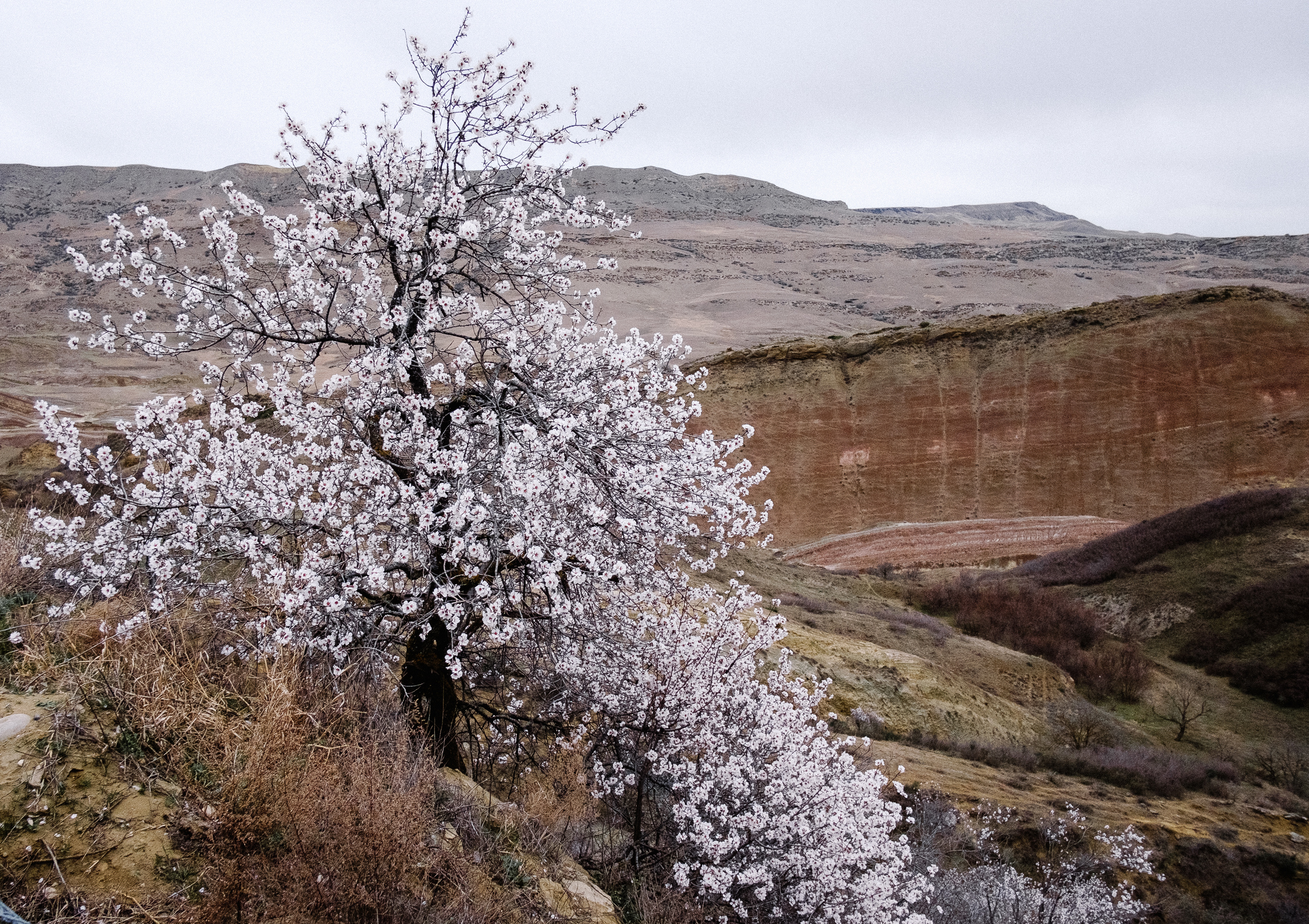 Монастырь Давид Гареджа. Фотограф в Тбилиси. Портрет, репортаж, эвент. Геннадий Демченко