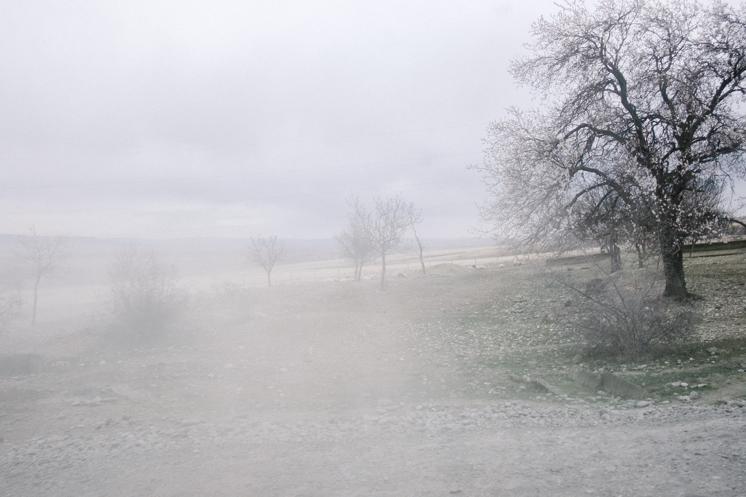 Монастырь Давид Гареджа. Фотограф в Тбилиси. Портрет, репортаж, эвент. Геннадий Демченко