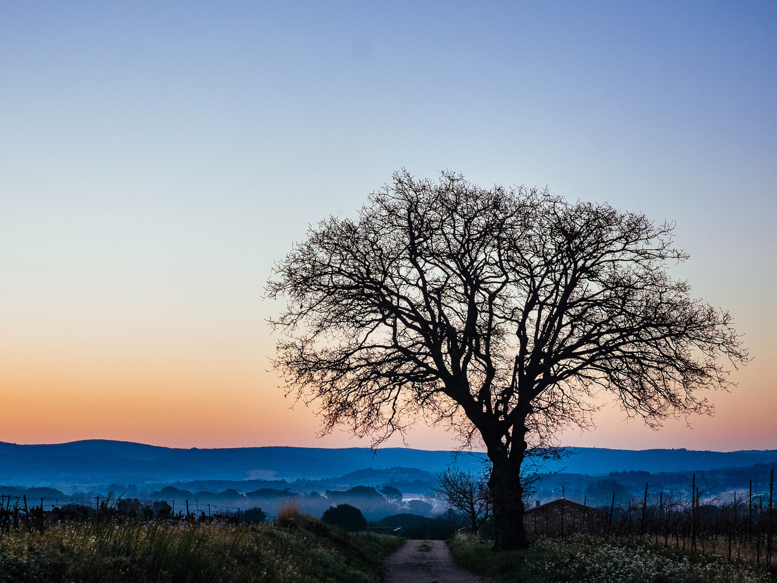 Фрагменты историй. Фотограф в Тбилиси. Портрет, репортаж, эвент. Геннадий Демченко