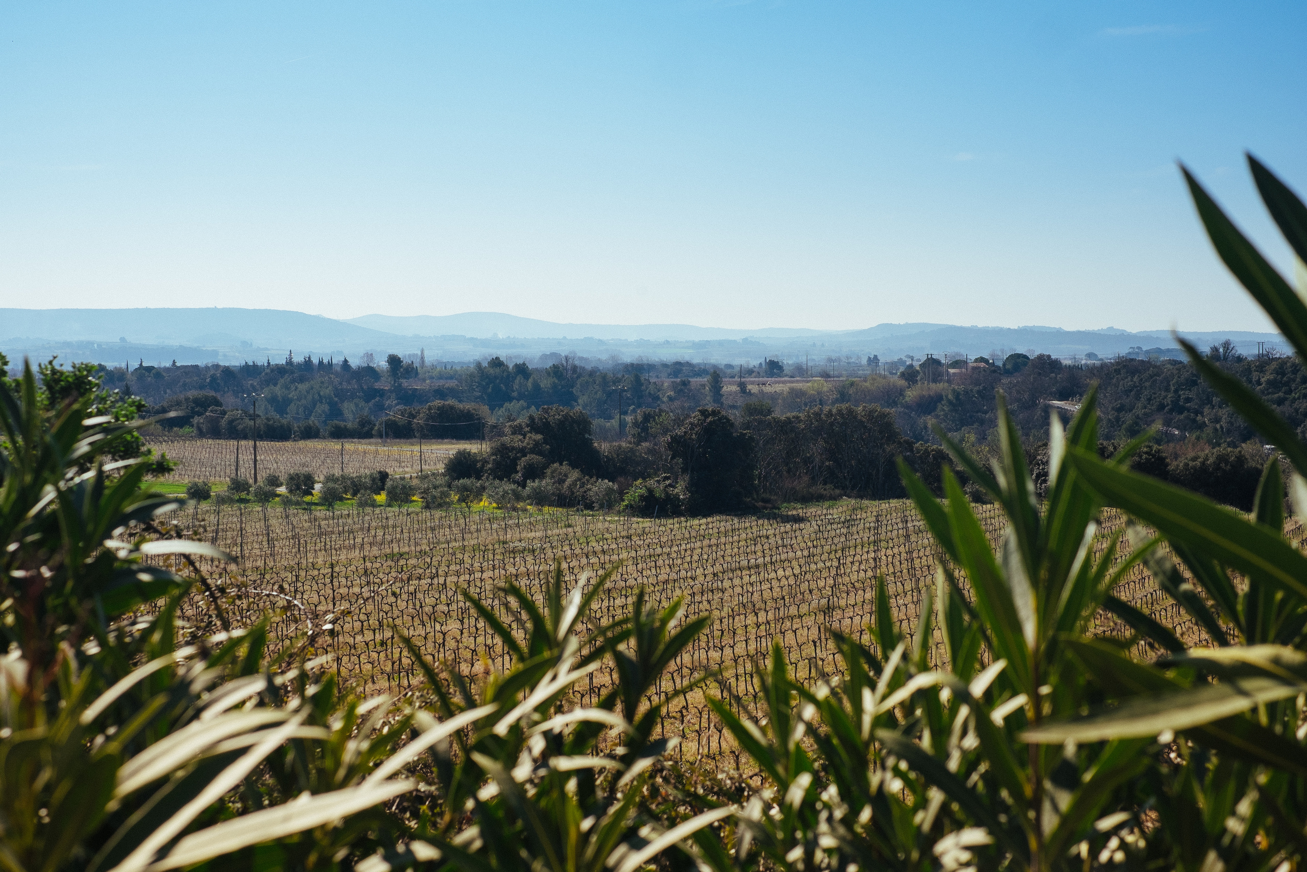 Фрагменты историй. Фотограф в Тбилиси. Портрет, репортаж, эвент. Геннадий Демченко
