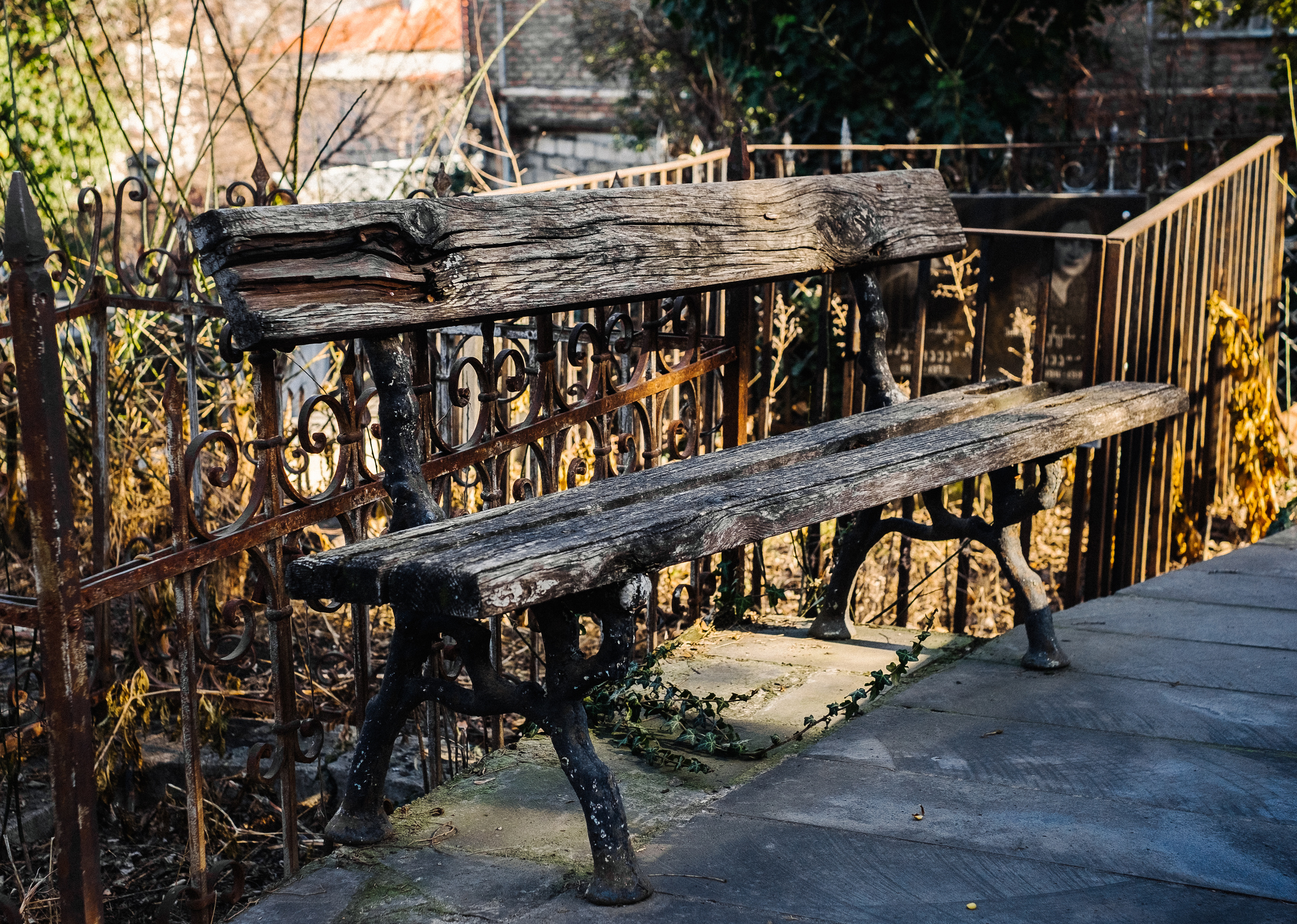 Фрагменты историй. Фотограф в Тбилиси. Портрет, репортаж, эвент. Геннадий Демченко