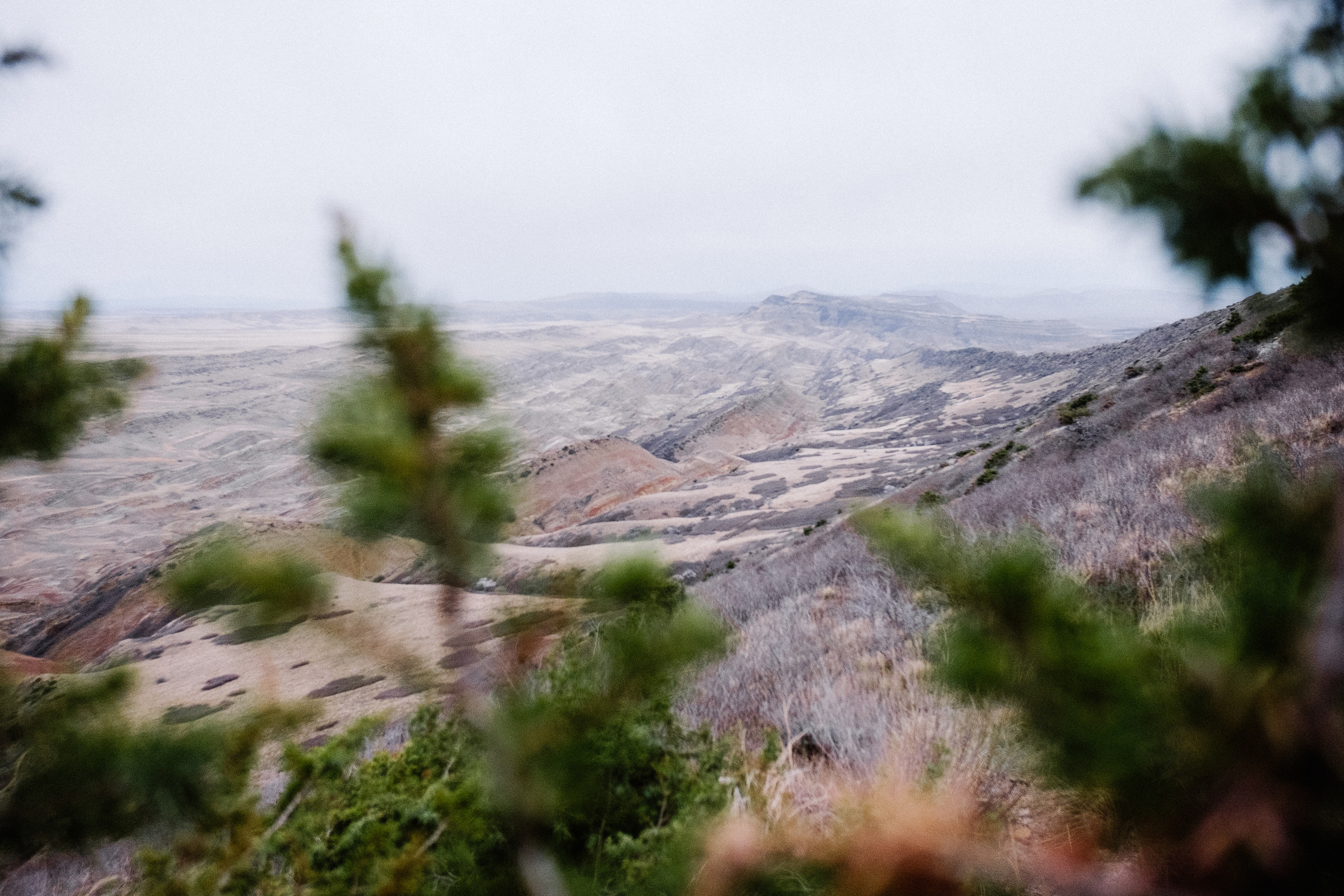 Монастырь Давид Гареджа. Фотограф в Тбилиси. Портрет, репортаж, эвент. Геннадий Демченко