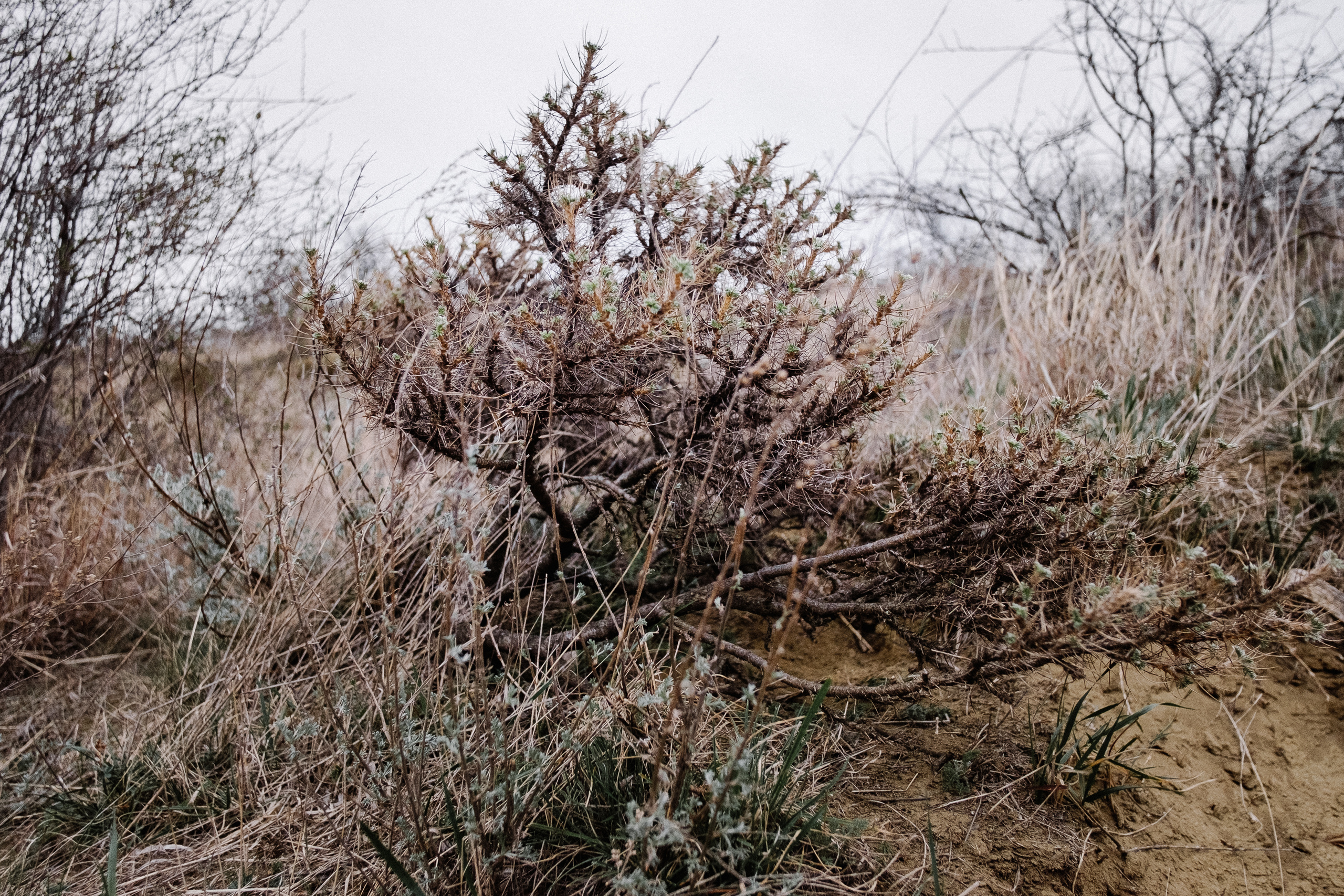Монастырь Давид Гареджа. Фотограф в Тбилиси. Портрет, репортаж, эвент. Геннадий Демченко