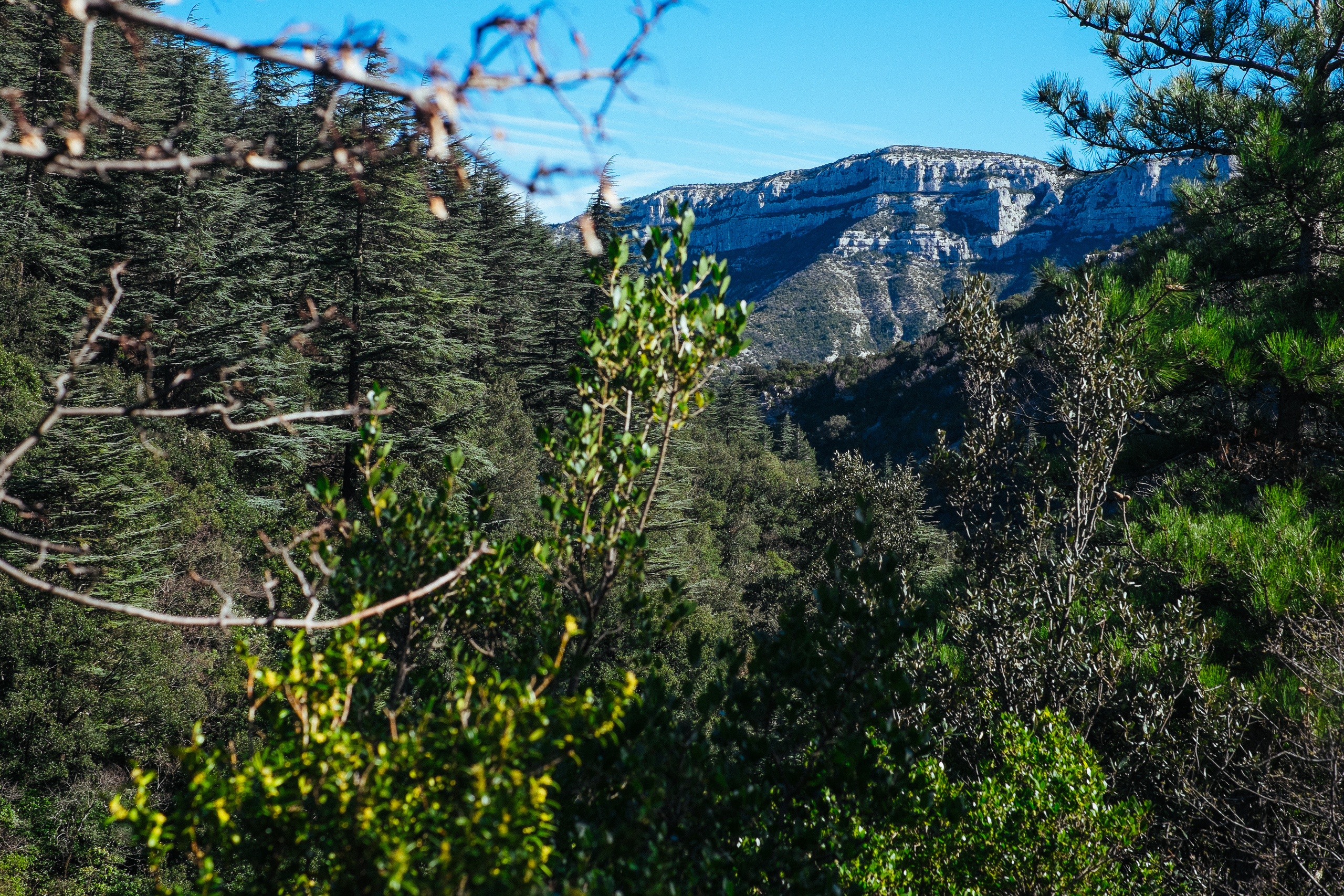 Фрагменты историй. Фотограф в Тбилиси. Портрет, репортаж, эвент. Геннадий Демченко