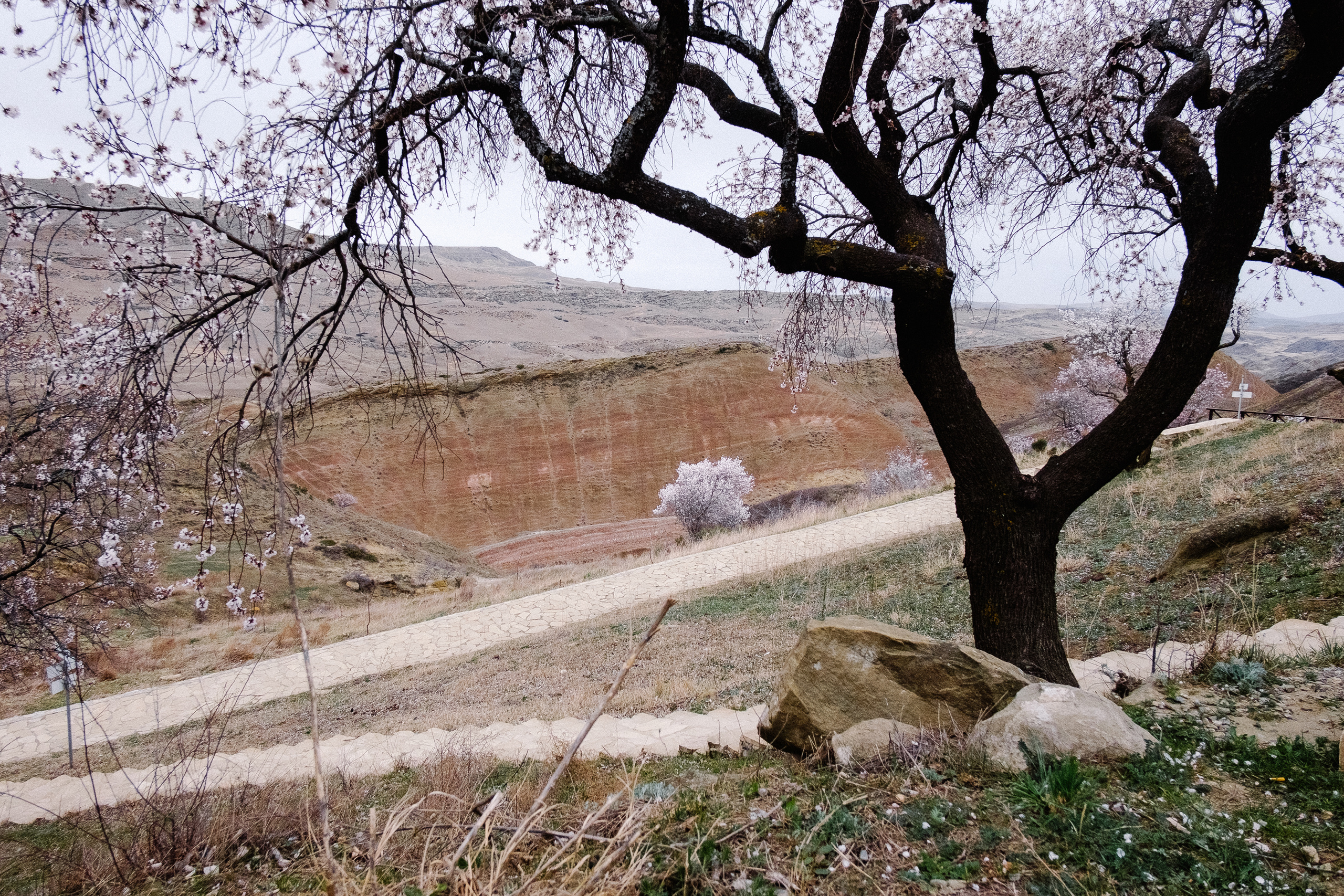 Монастырь Давид Гареджа. Фотограф в Тбилиси. Портрет, репортаж, эвент. Геннадий Демченко