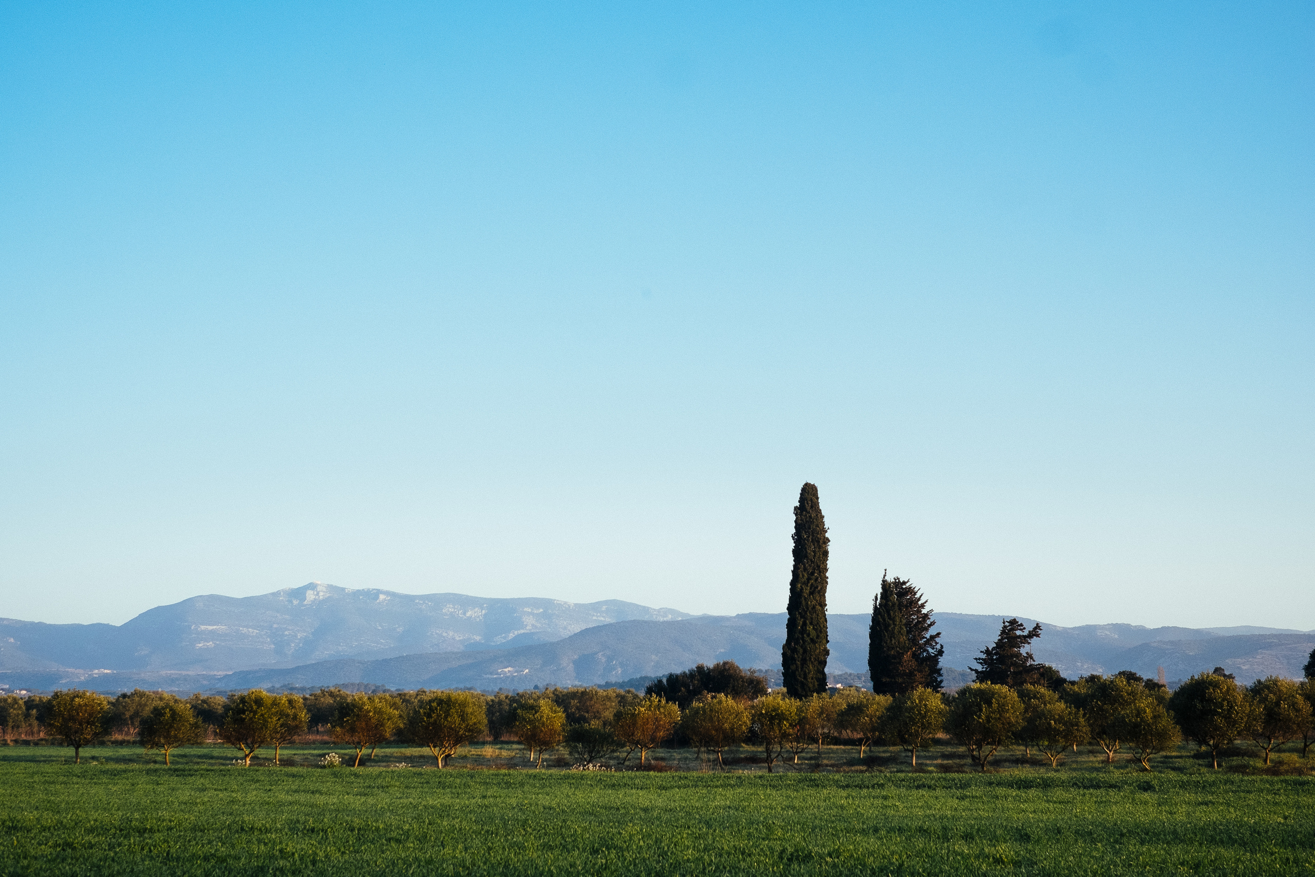 Фрагменты историй. Фотограф в Тбилиси. Портрет, репортаж, эвент. Геннадий Демченко