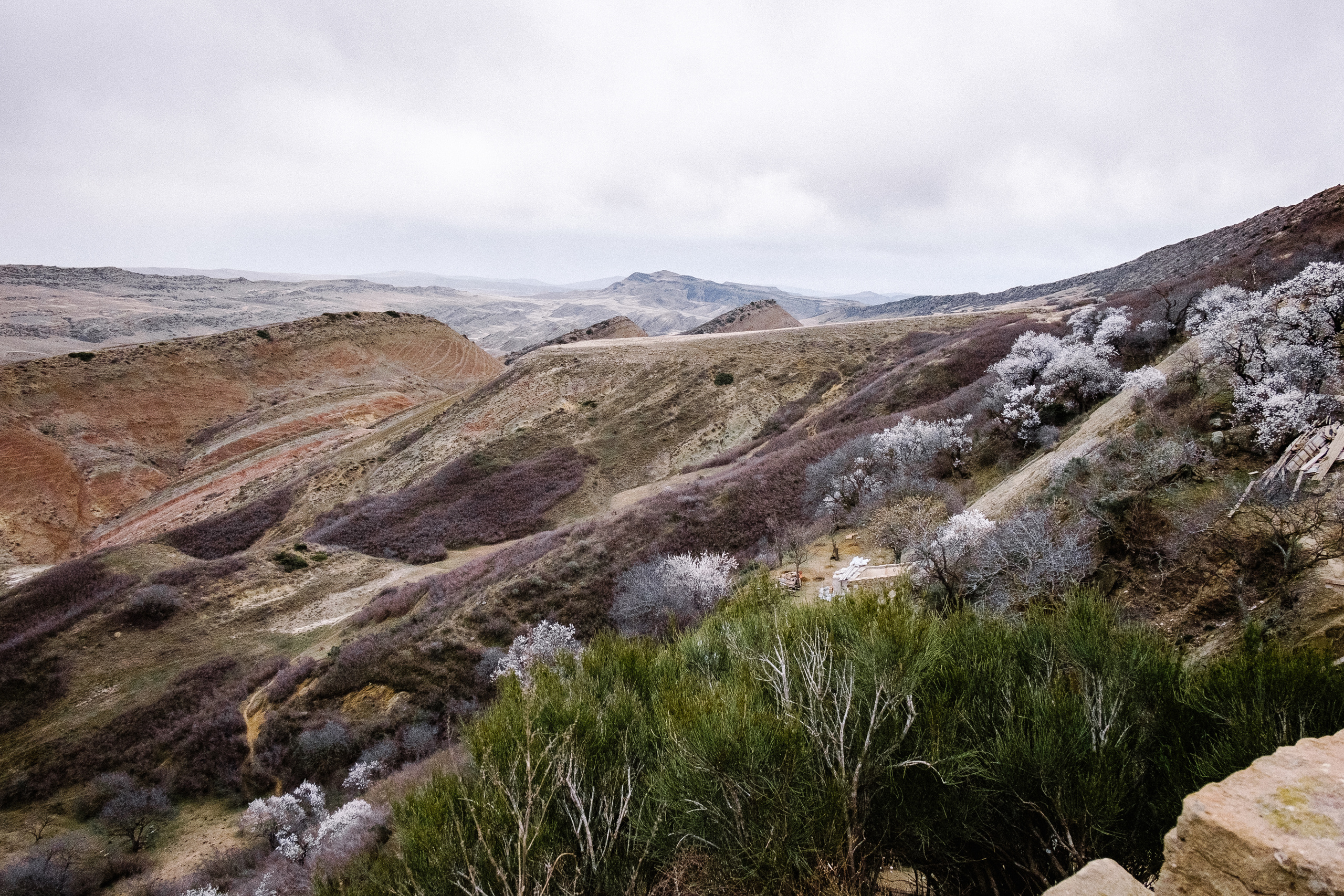 Монастырь Давид Гареджа. Фотограф в Тбилиси. Портрет, репортаж, эвент. Геннадий Демченко