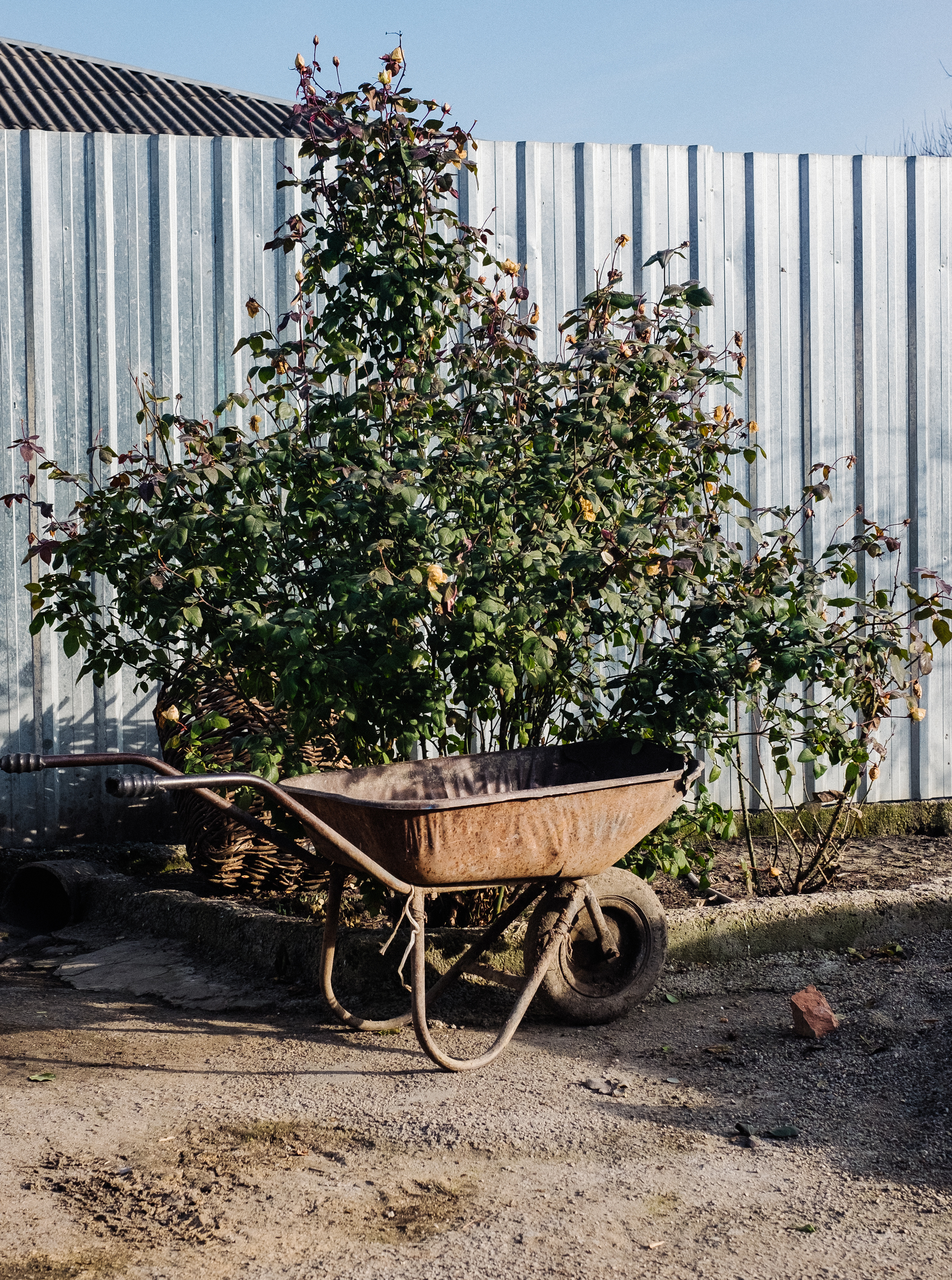 Фрагменты историй. Фотограф в Тбилиси. Портрет, репортаж, эвент. Геннадий Демченко