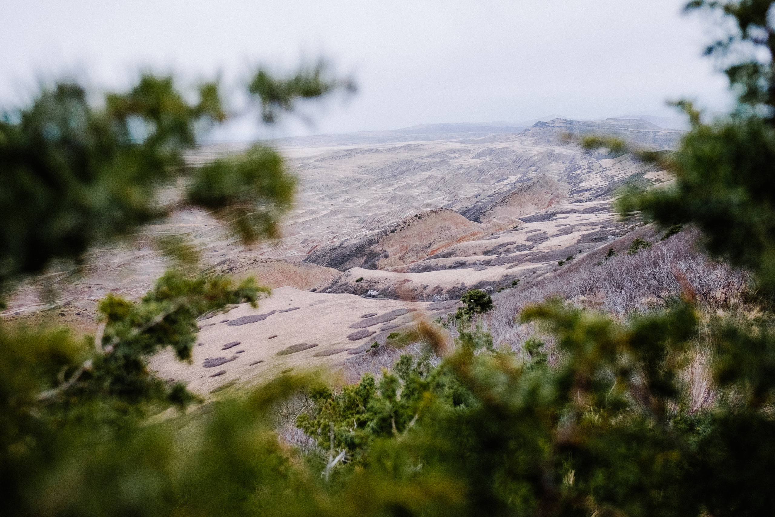 Монастырь Давид Гареджа. Фотограф в Тбилиси. Портрет, репортаж, эвент. Геннадий Демченко