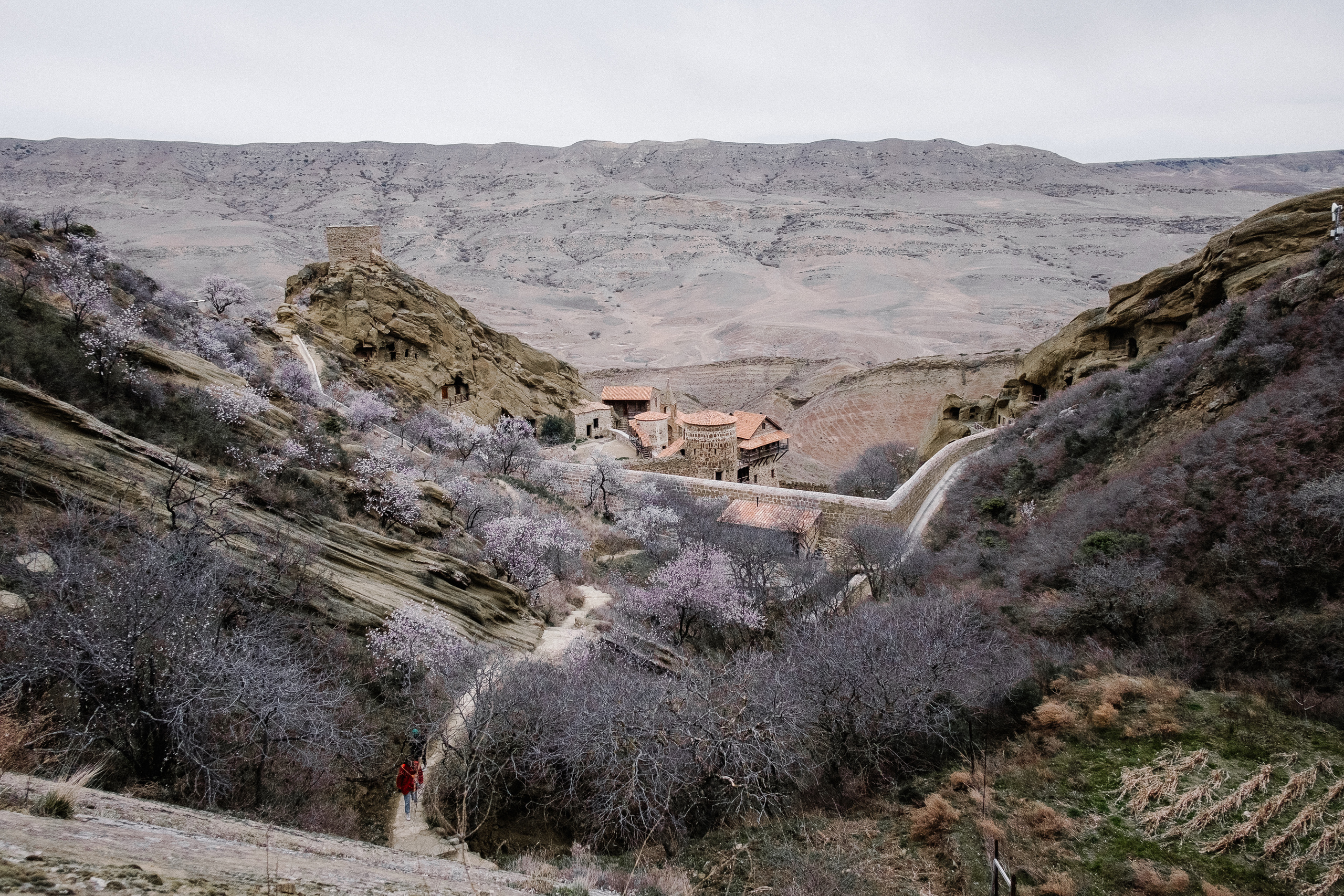 Монастырь Давид Гареджа. Фотограф в Тбилиси. Портрет, репортаж, эвент. Геннадий Демченко