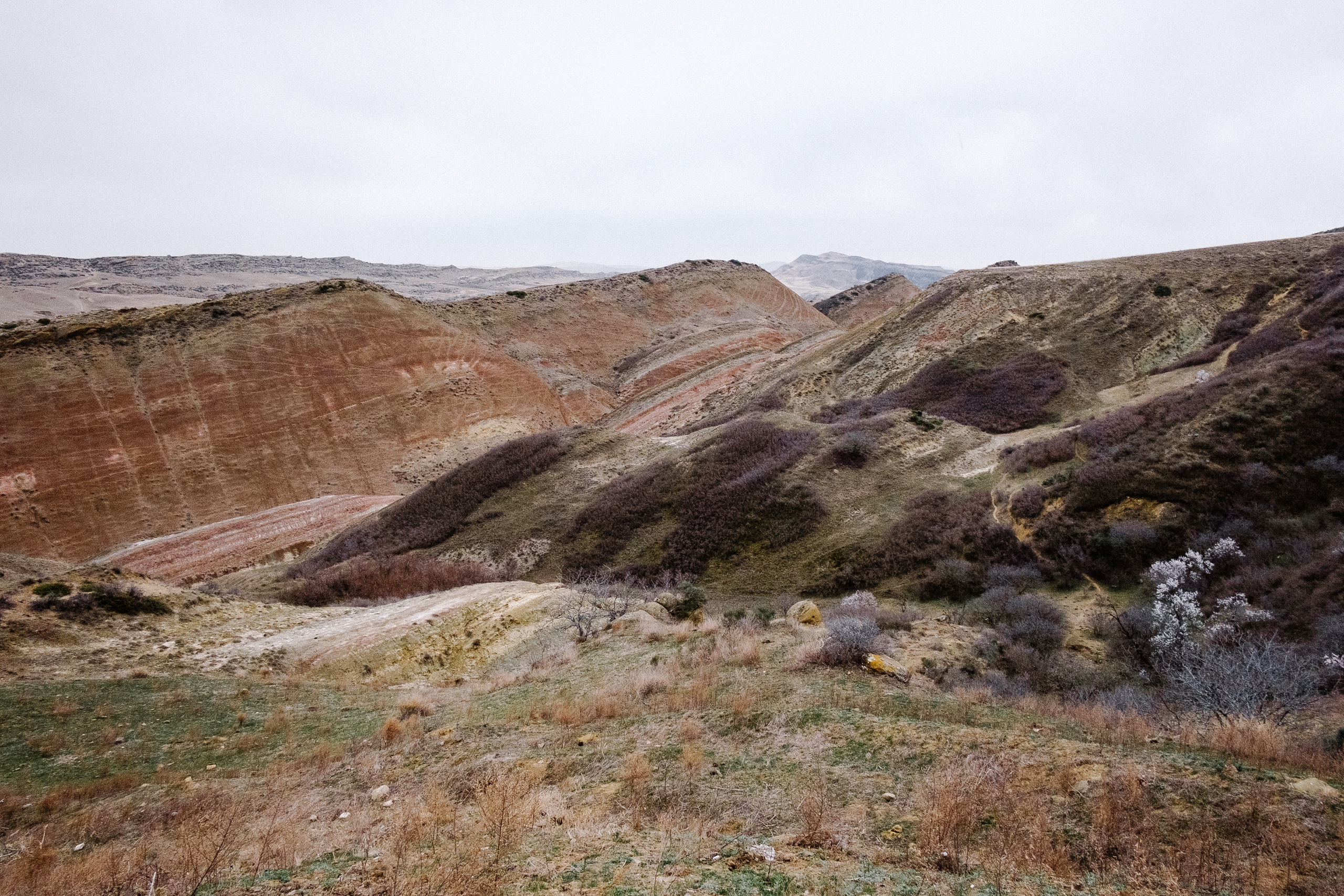 Монастырь Давид Гареджа. Фотограф в Тбилиси. Портрет, репортаж, эвент. Геннадий Демченко