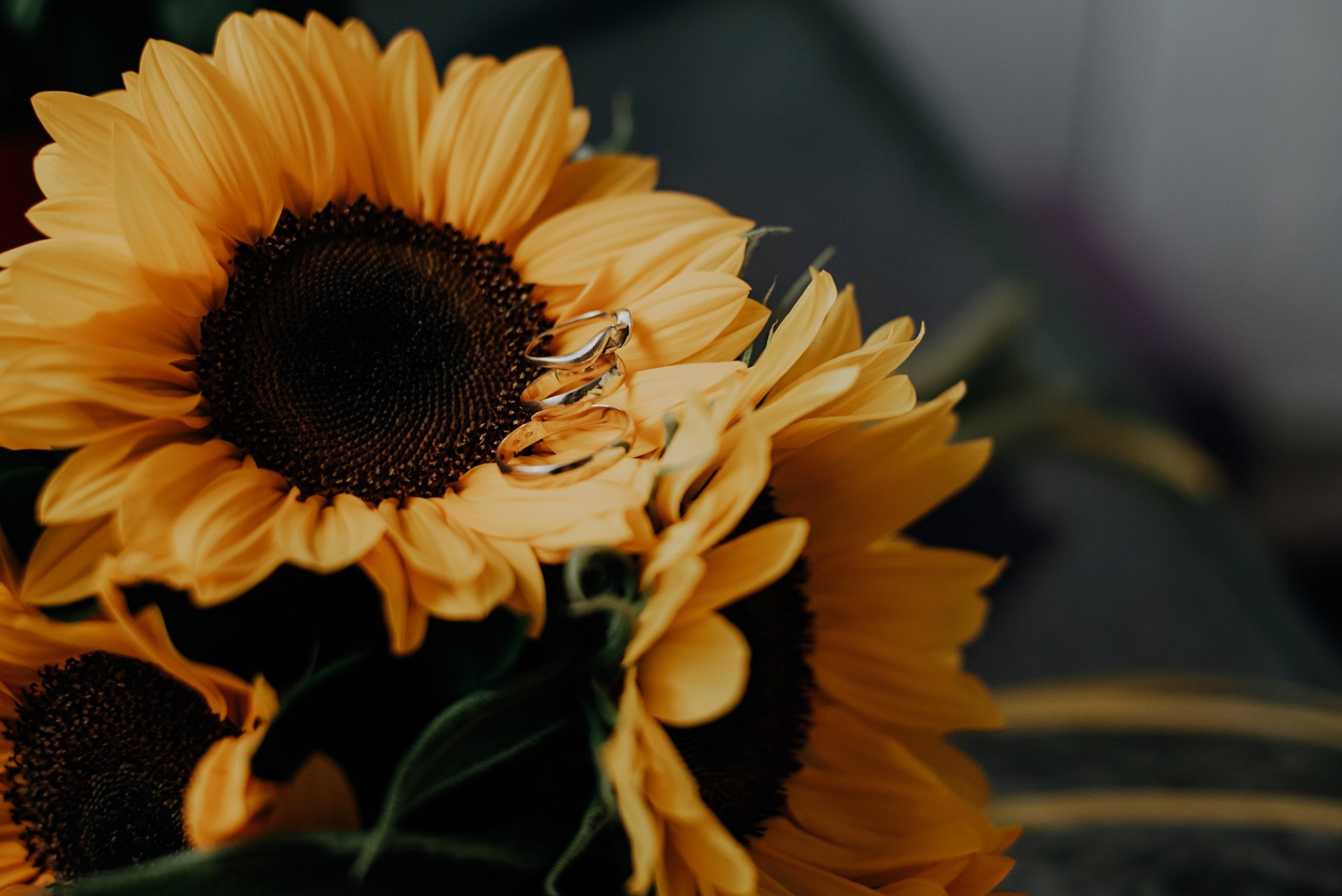 Magda i Michał. Dominika Strachacka Fotografia | Fotograf ślubny i rodzinny Opole Lubelskie Lublin