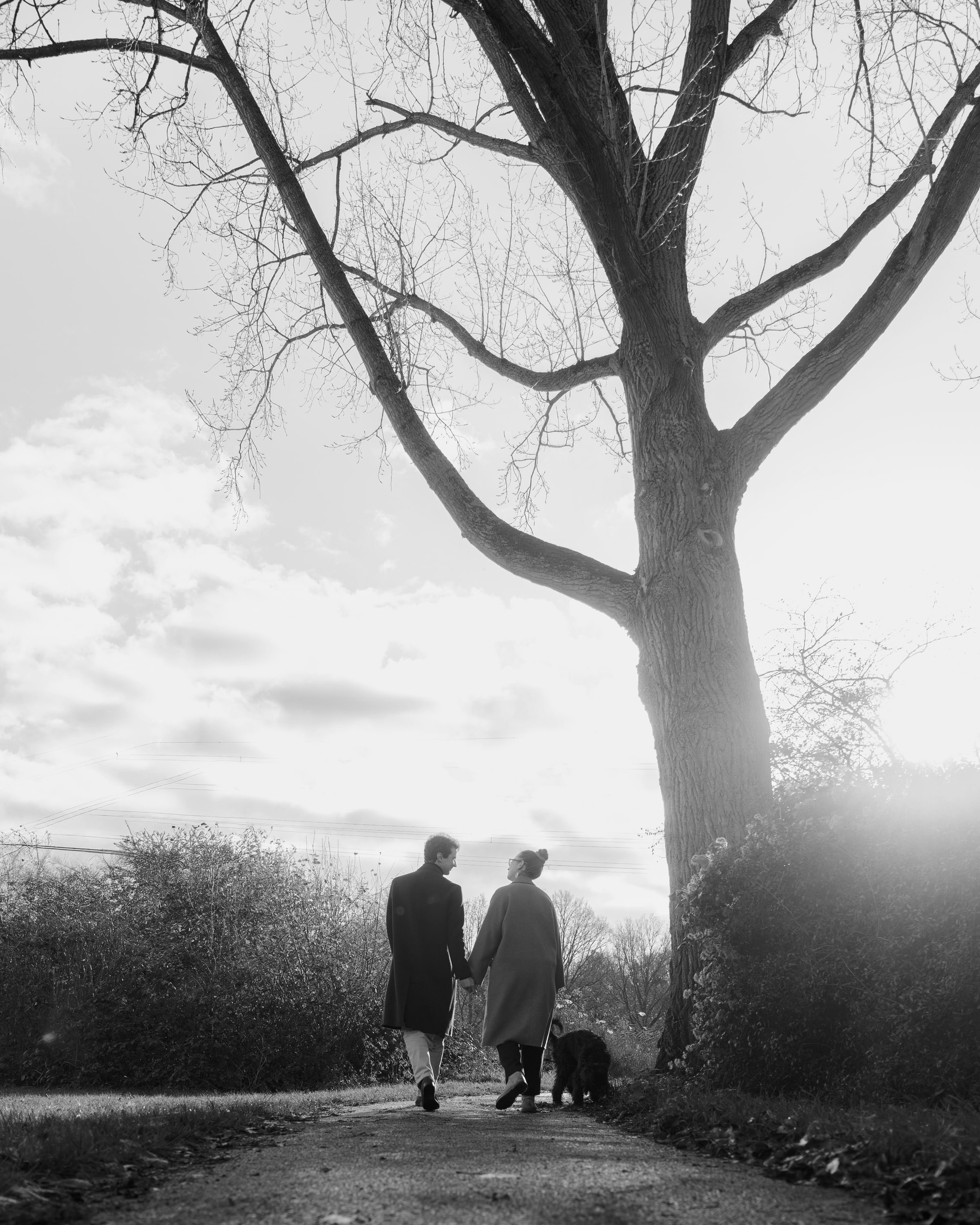 Pet Photoshoot in Spijkenisse | Rotterdam. Romantic & Soulful Photography by Natalia Olhova in Rotterdam