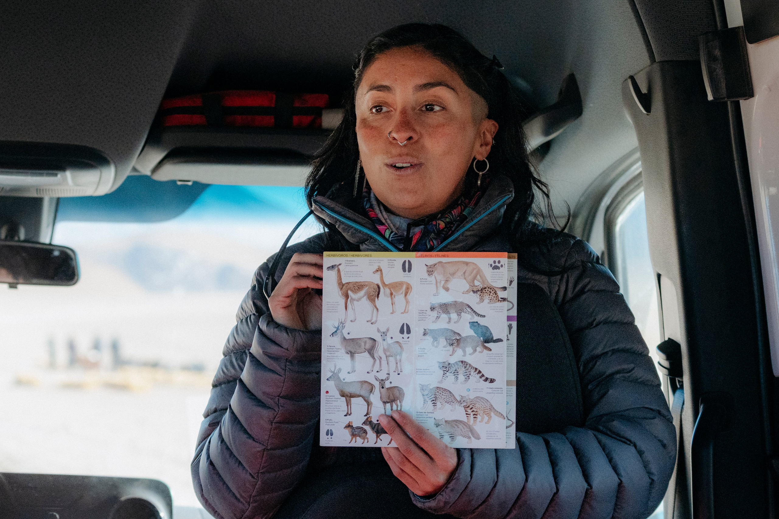 Geyser El Tatio (cobertura en tour privado). Principal