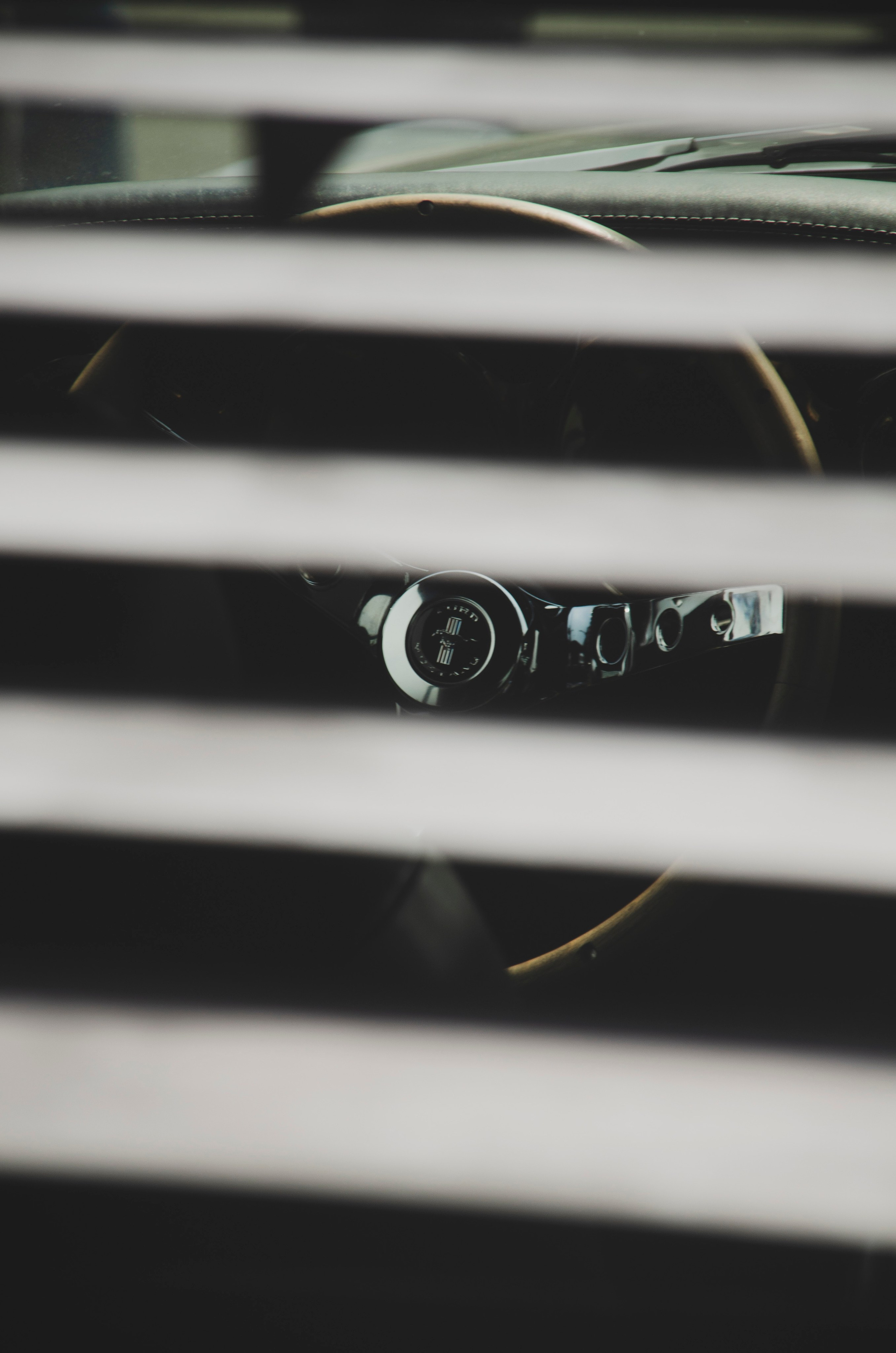 სტუდიური და გარე ფოტოსესიები. Clapp Studio