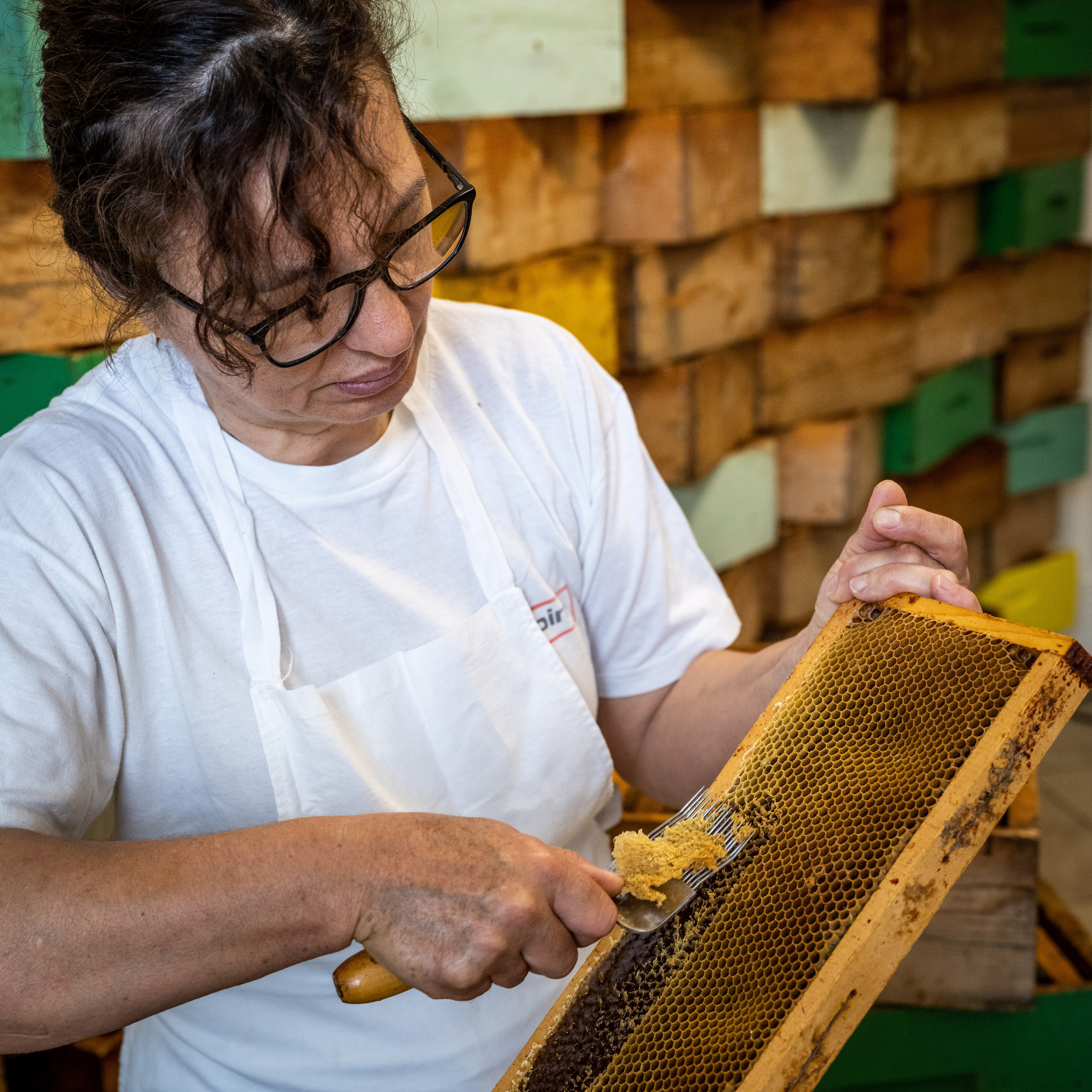 Apicultura Bergadano. “Gianmaria Coscia fotografo per passione”
