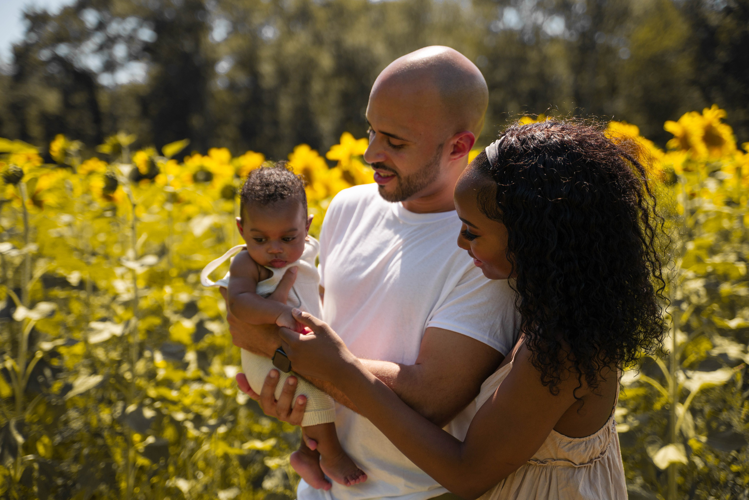 Jennifer and Louis at Sunflowers Farm. Stefanovich Photography | Boston, MA