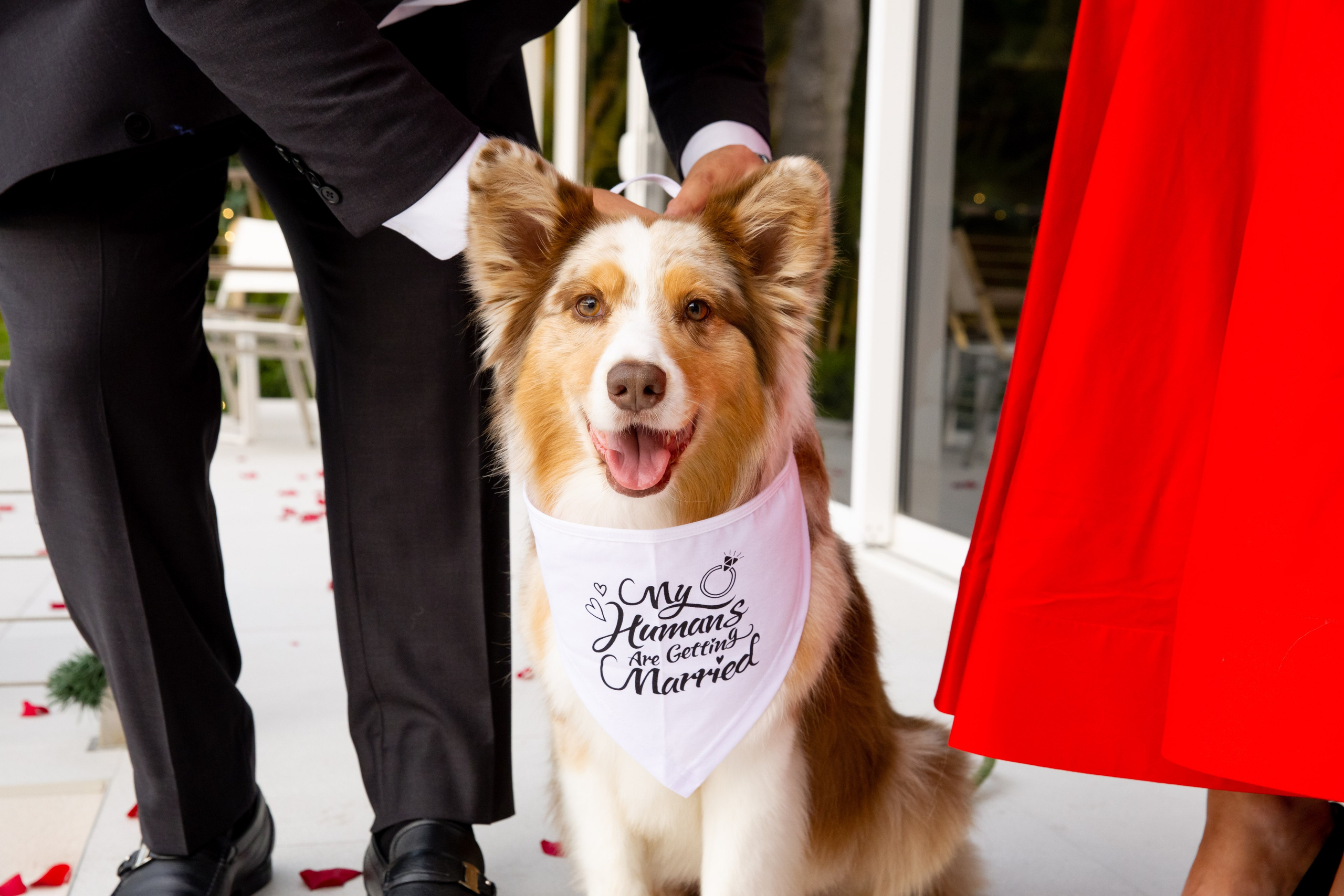 PROPOSALS_Love Story. Miami Family and Event Photographer