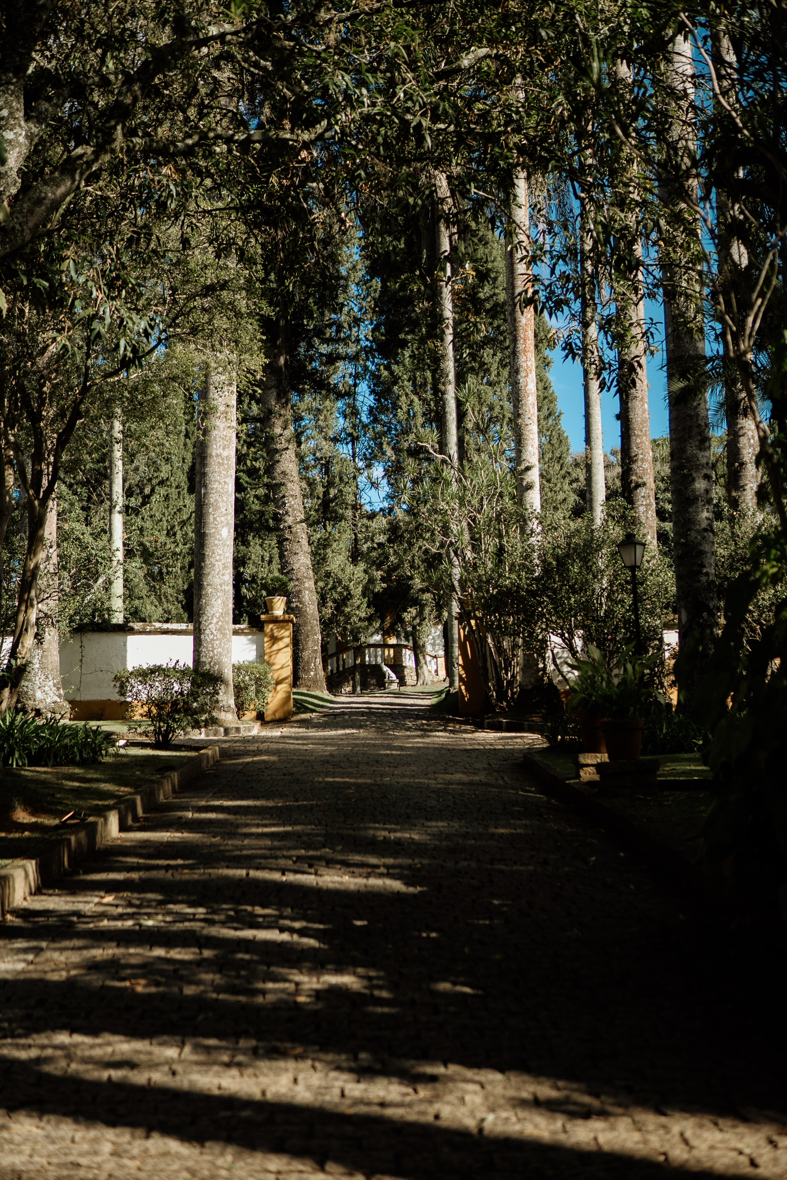 Johanna & Felipe. Congiu Wedding