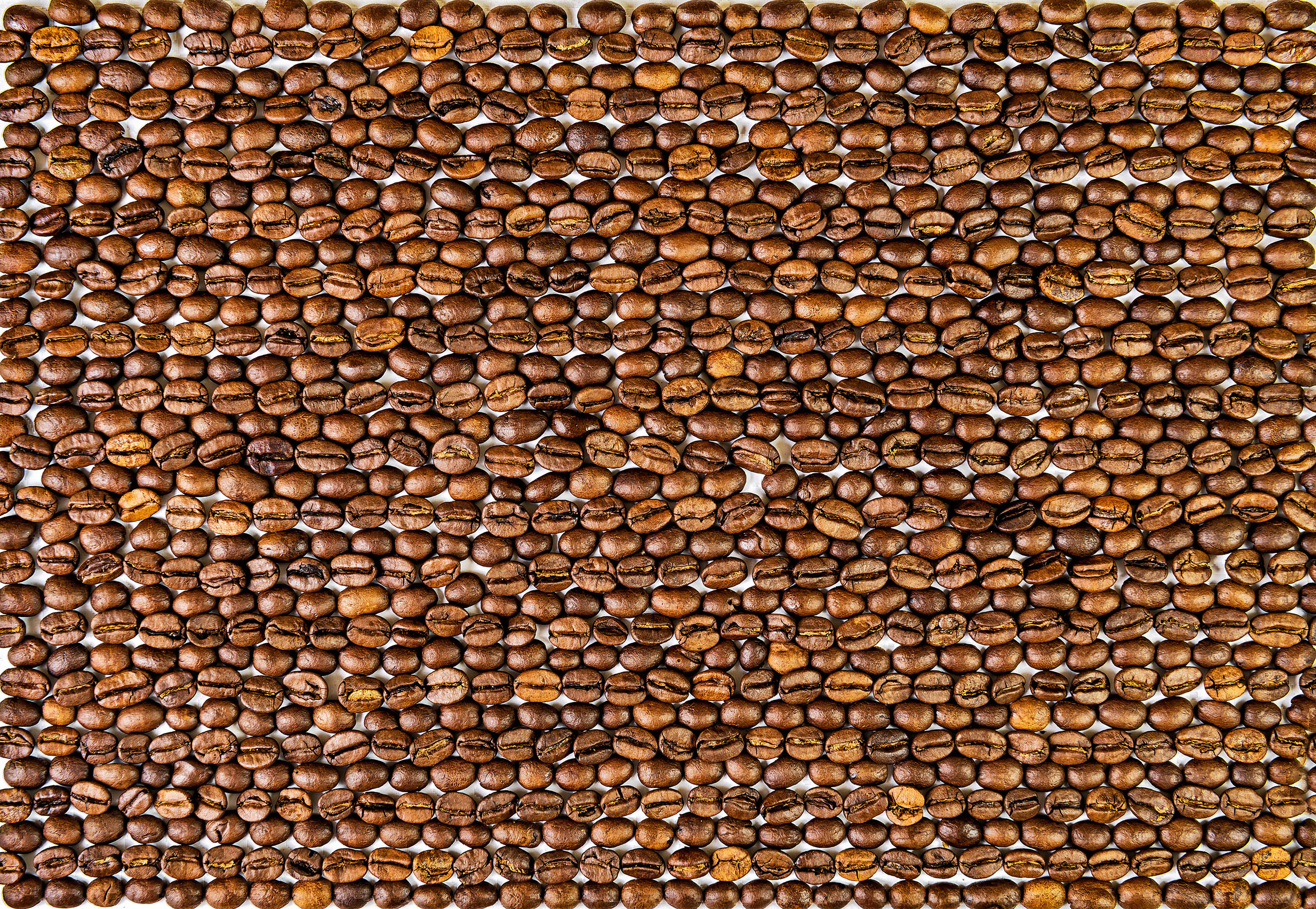 Предметная фотография. Studio Photomax — Максим Приходнюк контентный, семейный, свадебный и р