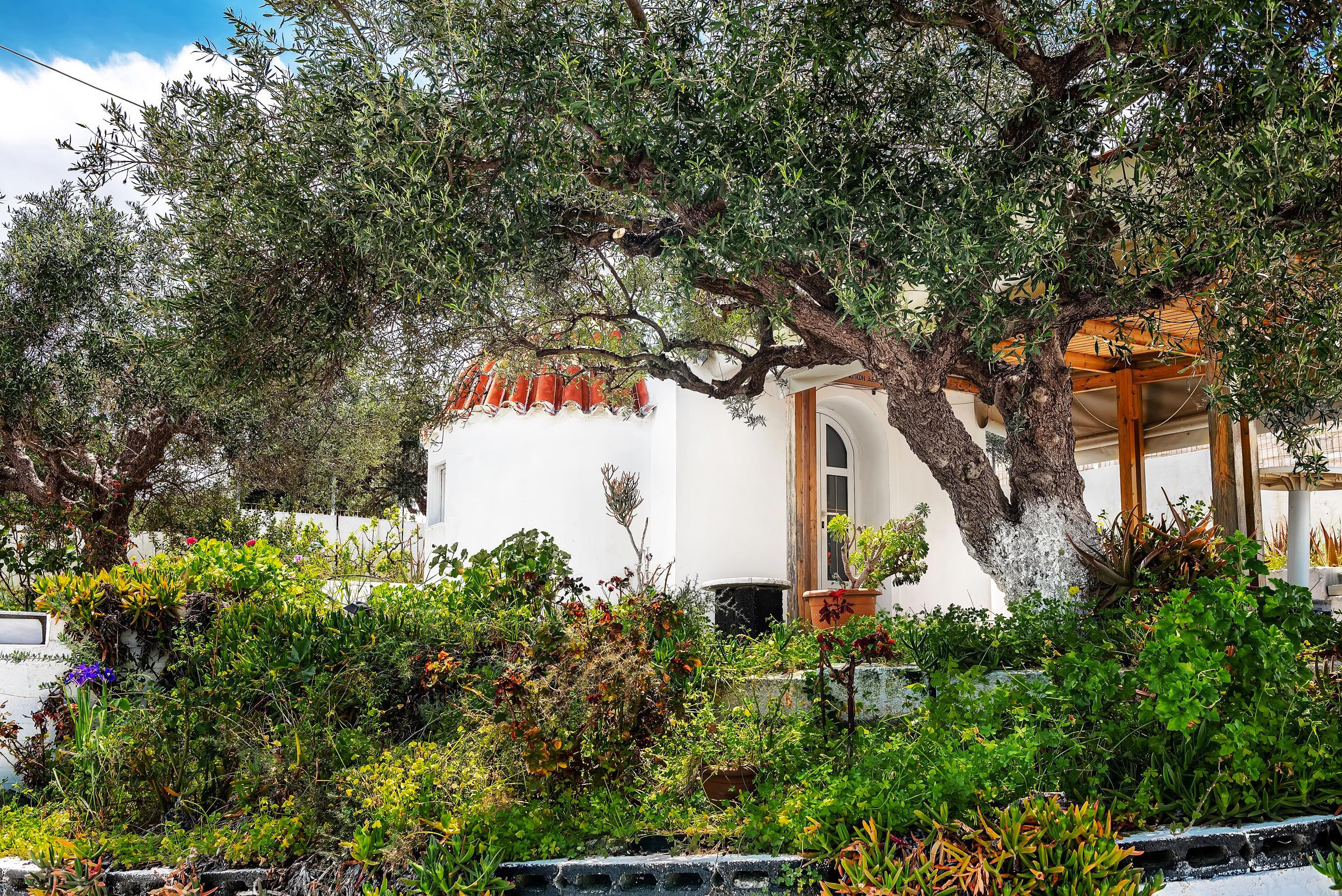 Отзывы. Studio Photomax — Максим Приходнюк контентный, семейный, свадебный и р