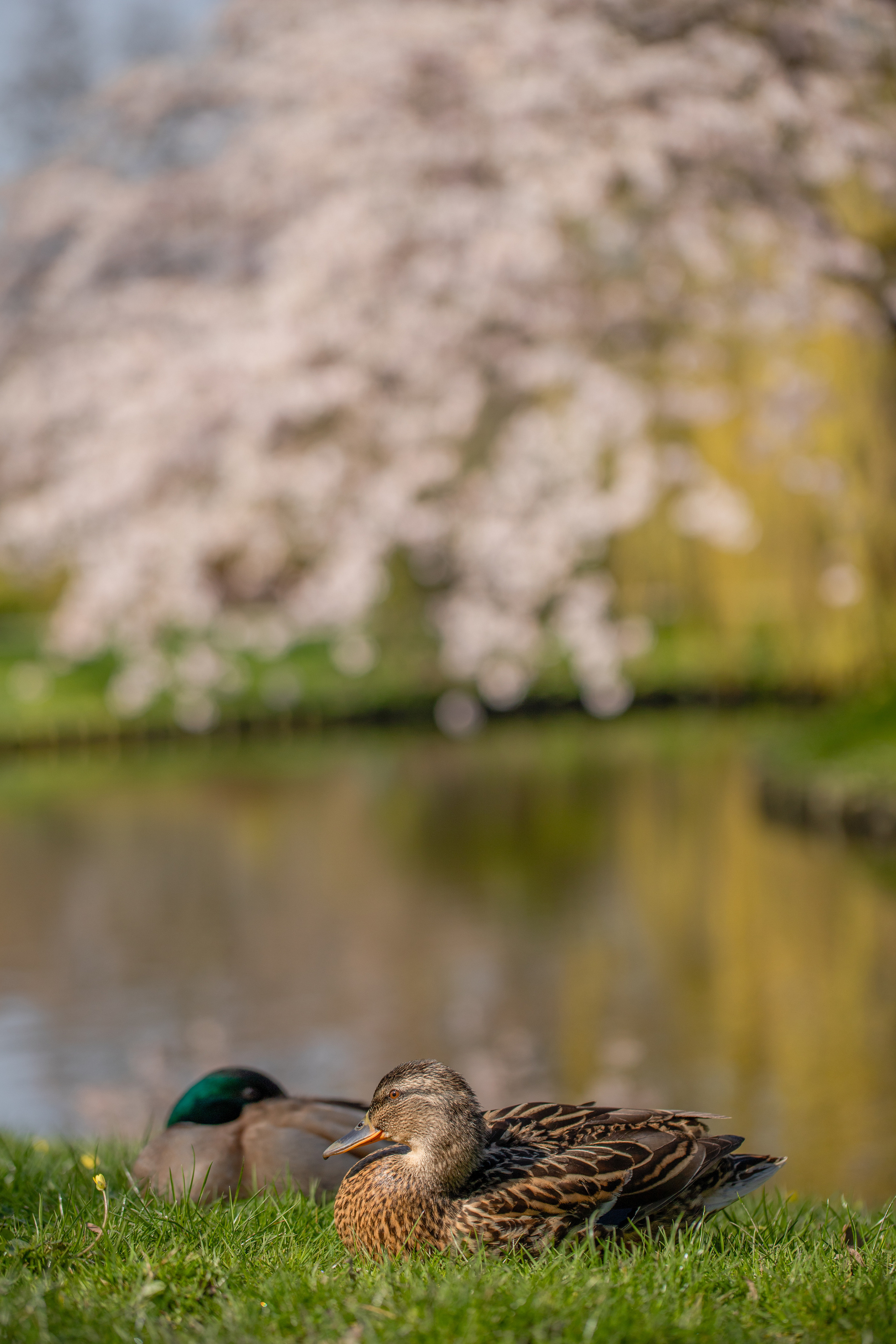 Around the World. Photographer and Videographer | Chisinau, Moldova