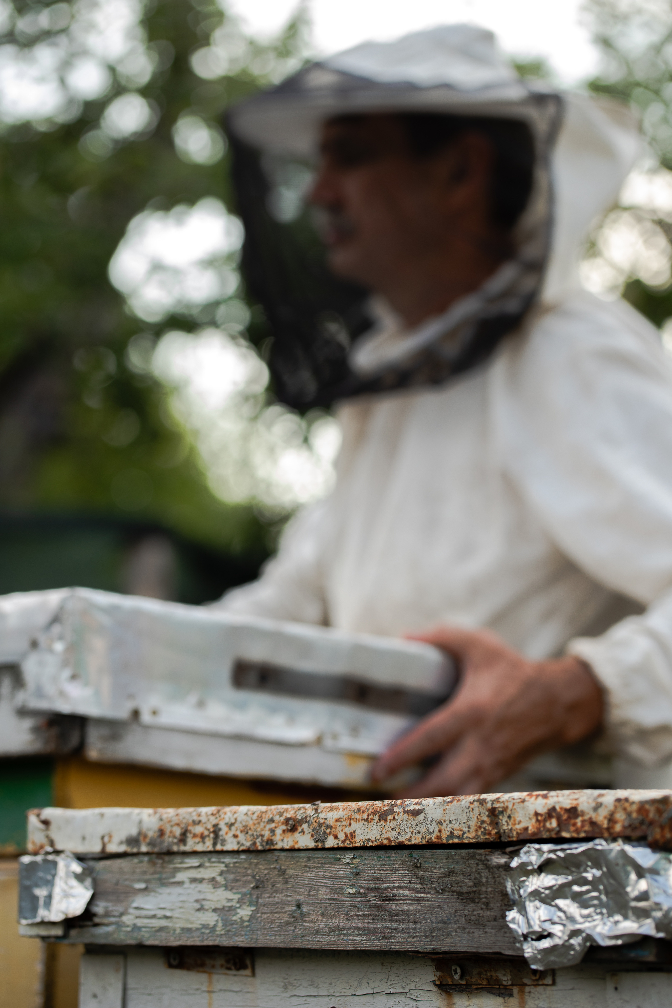 Miere „HoneyTiger”. Fotograf și Videograf | Chișinău, Moldova