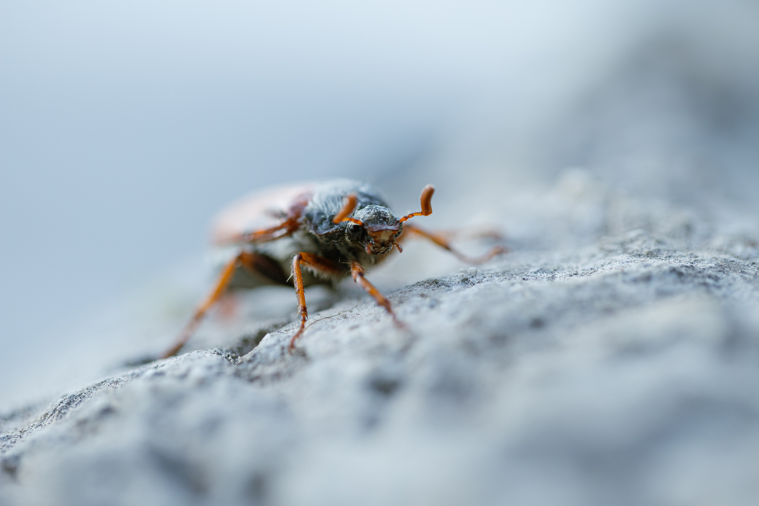 Around the World. Photographer and Videographer | Chisinau, Moldova