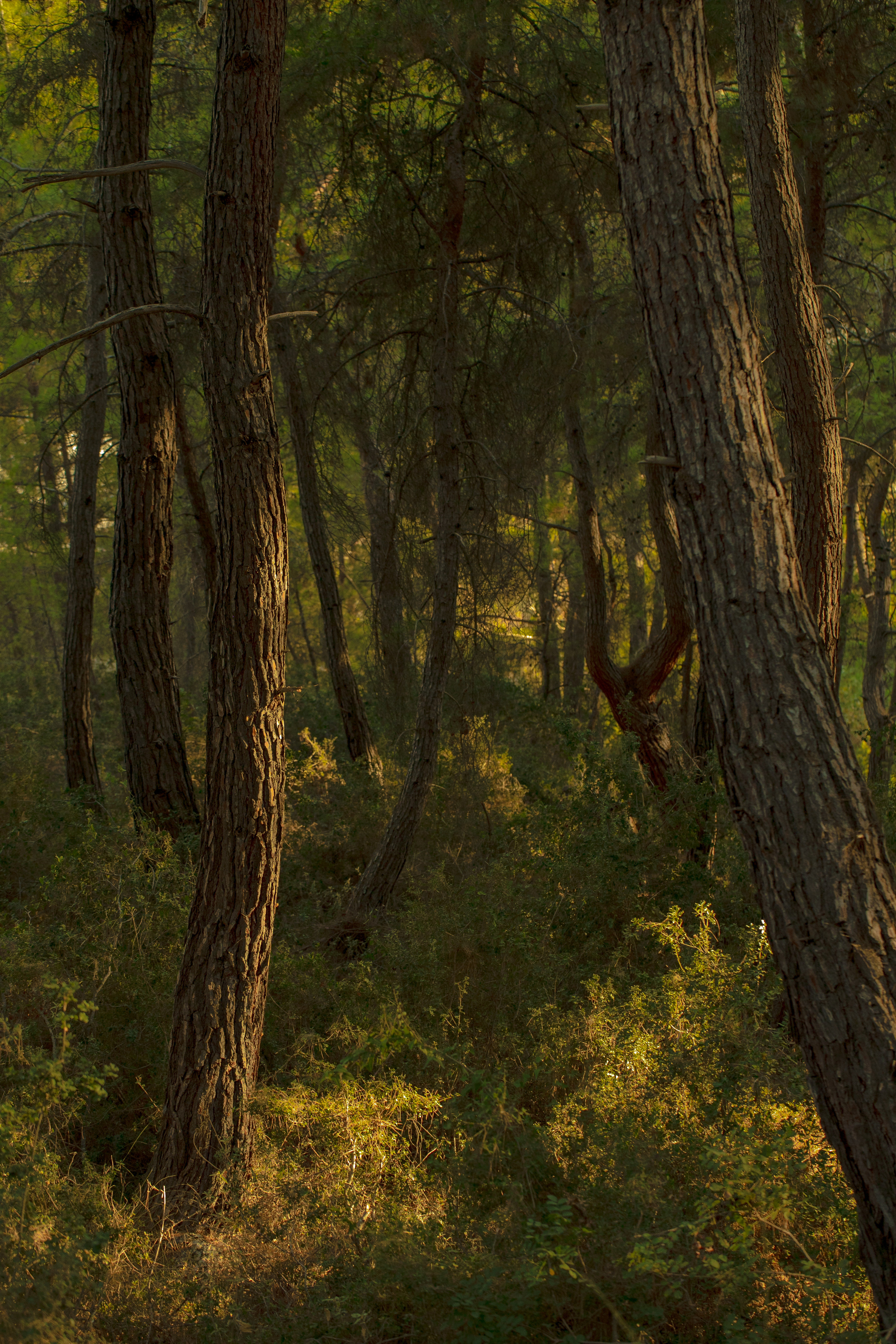 Around the World. Photographer and Videographer | Chisinau, Moldova