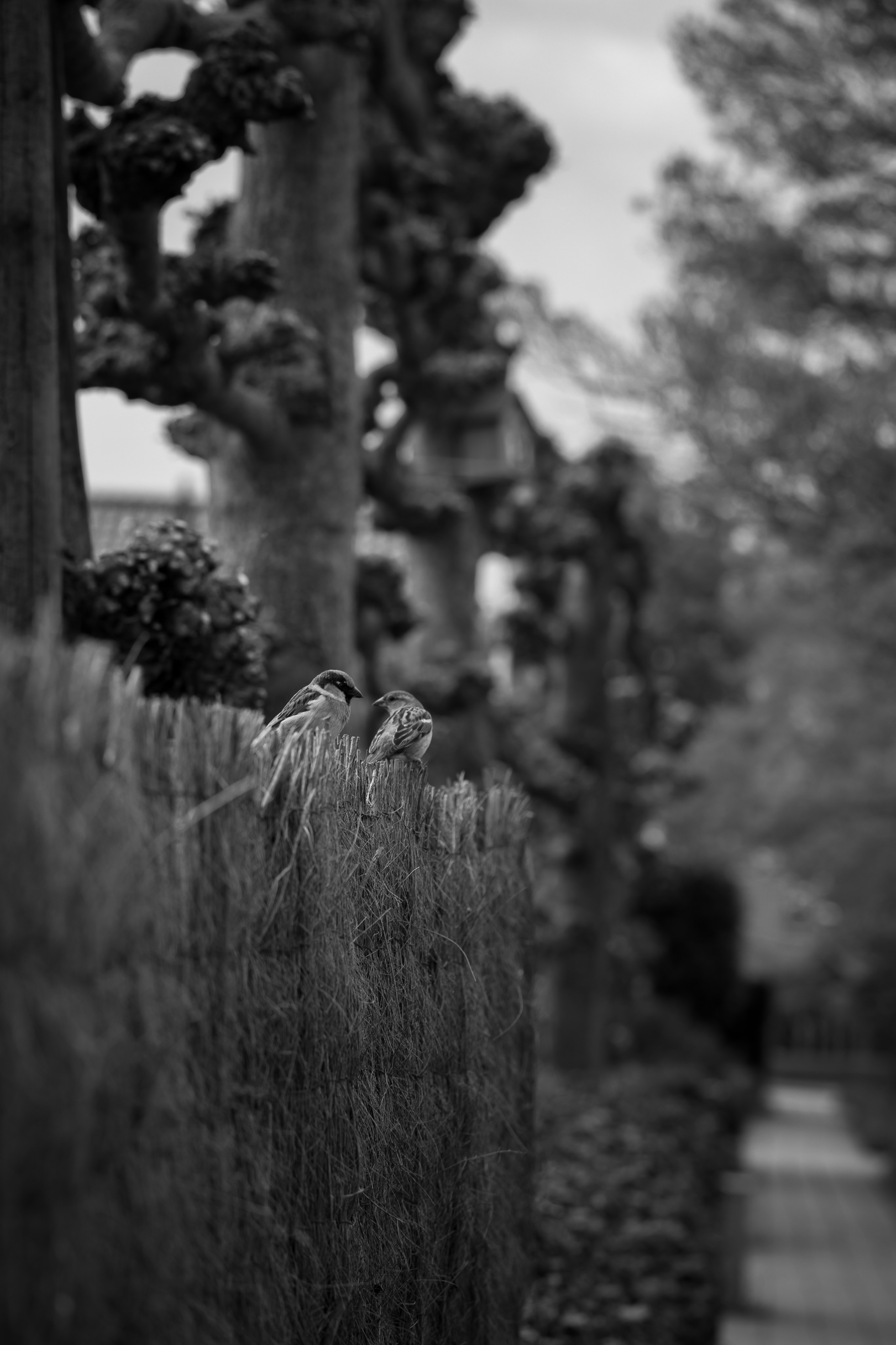 Around the World. Photographer and Videographer | Chisinau, Moldova