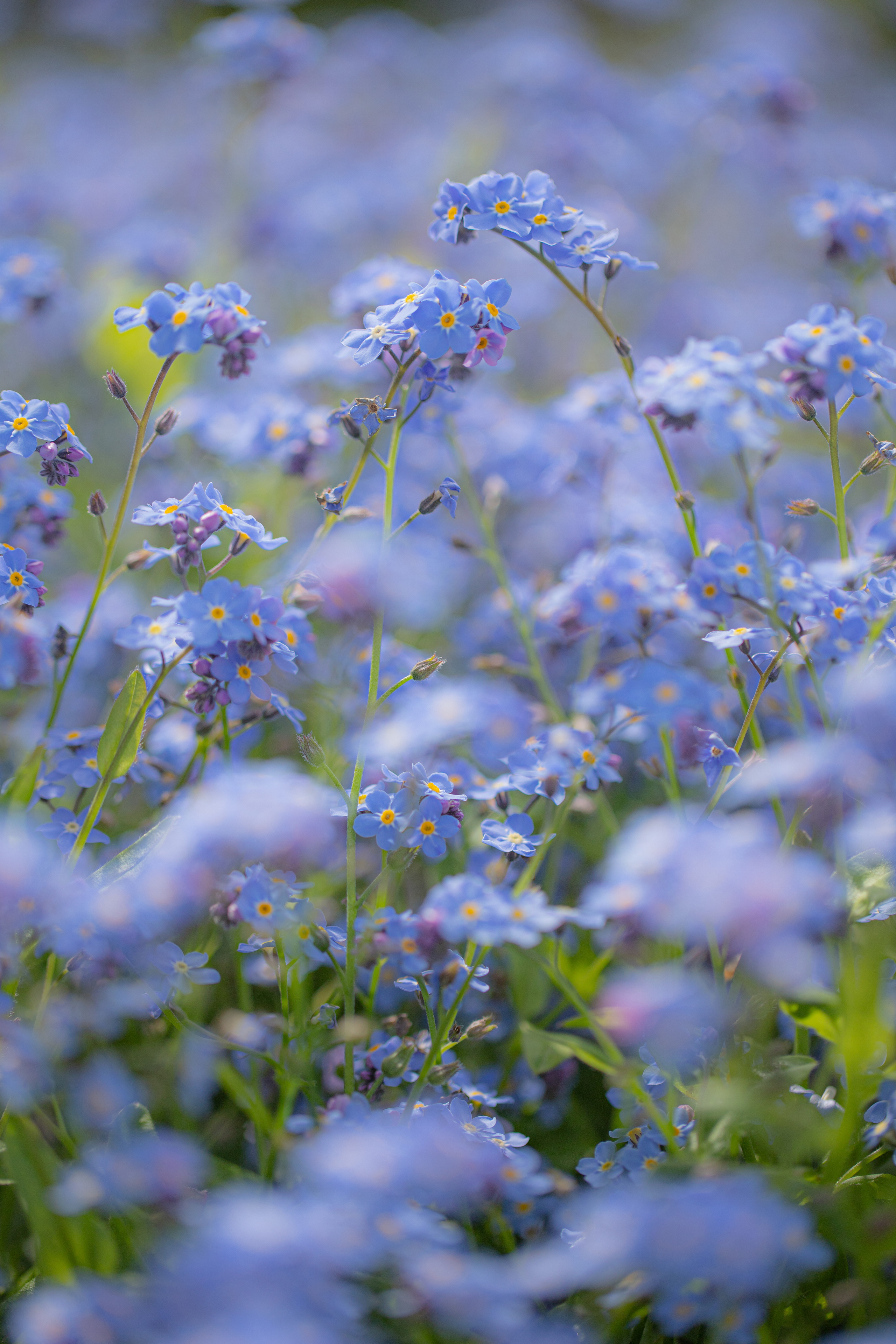 Around the World. Photographer and Videographer | Chisinau, Moldova