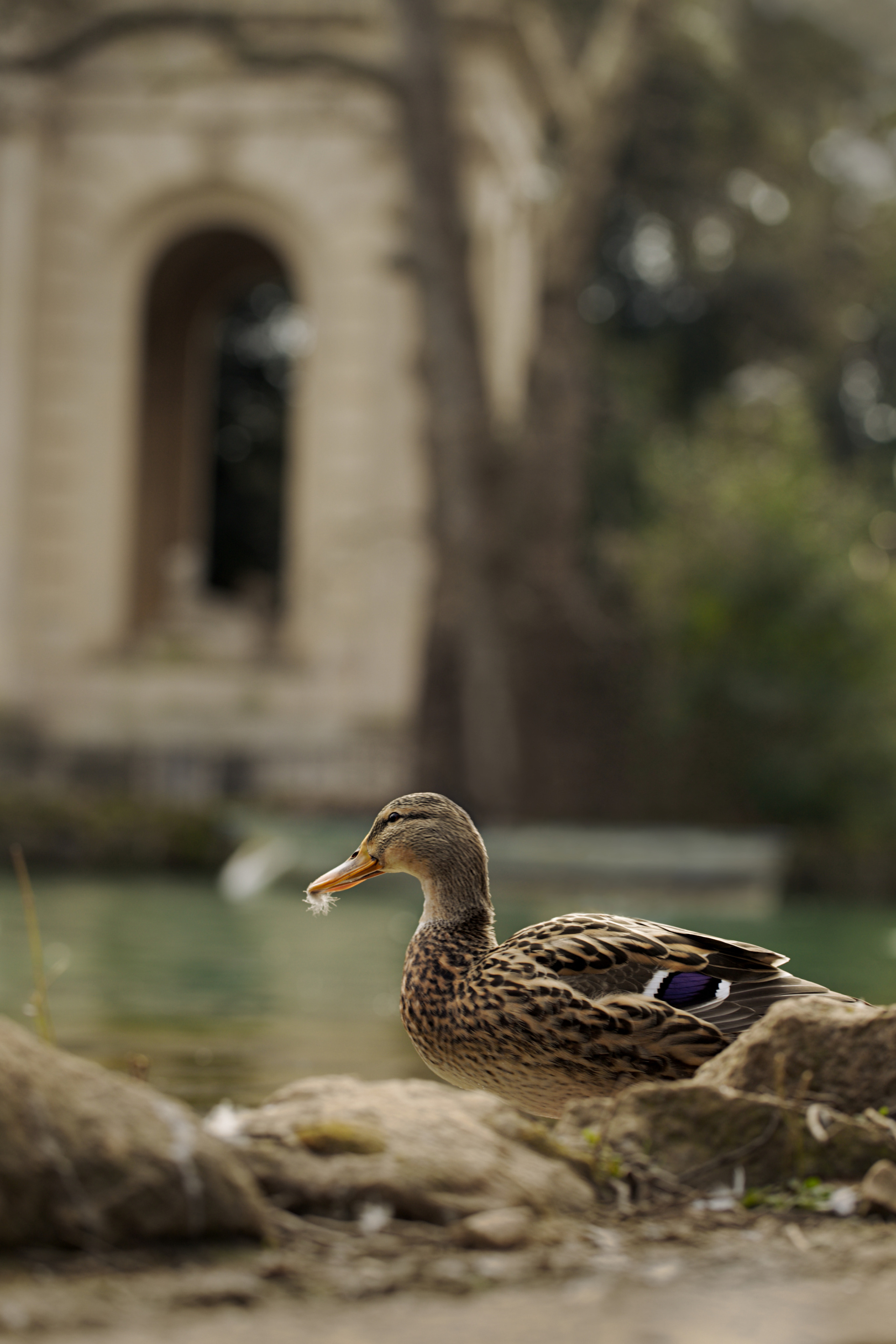 Around the World. Photographer and Videographer | Chisinau, Moldova