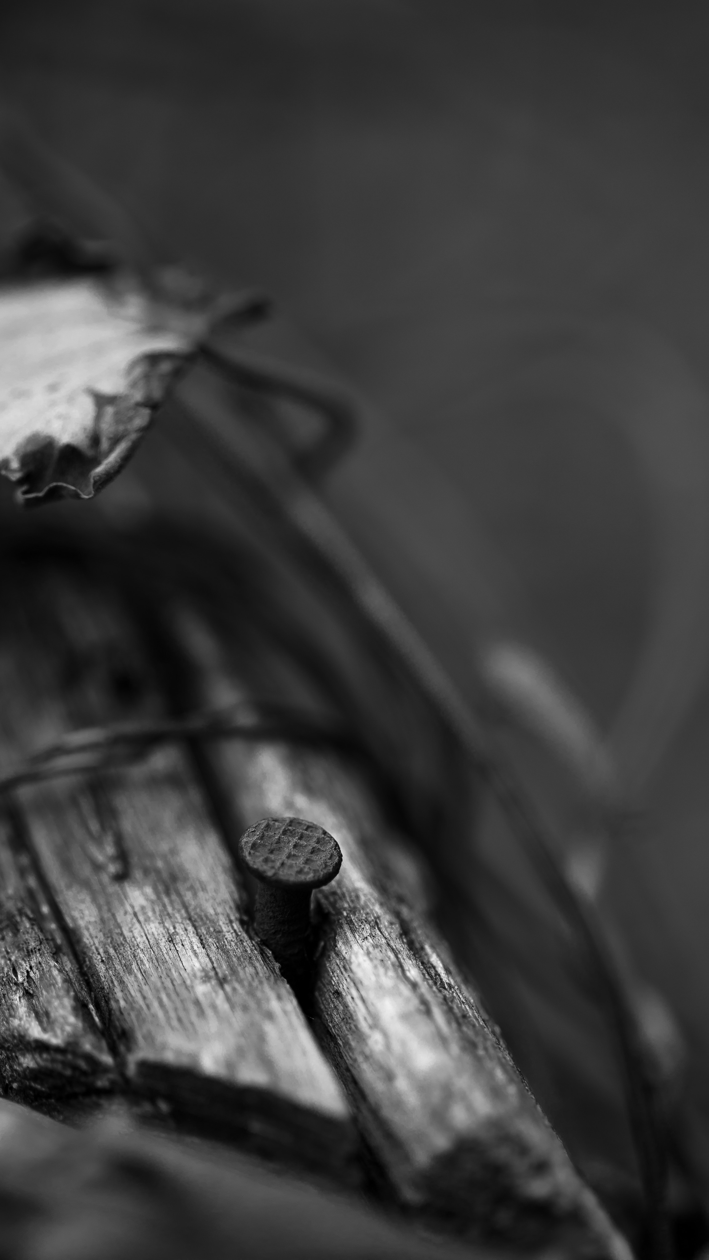 Around the World. Photographer and Videographer | Chisinau, Moldova