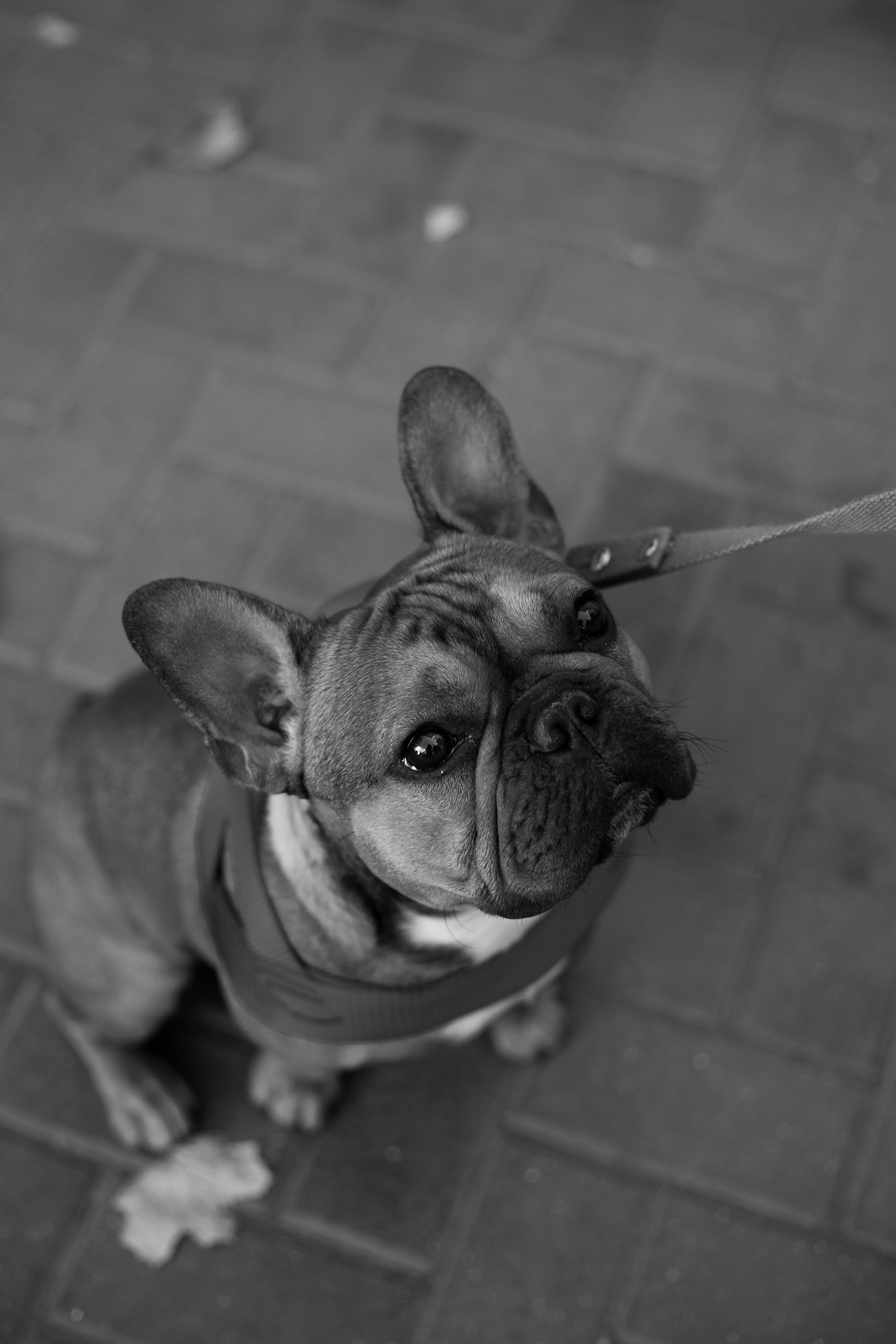 Around the World. Photographer and Videographer | Chisinau, Moldova