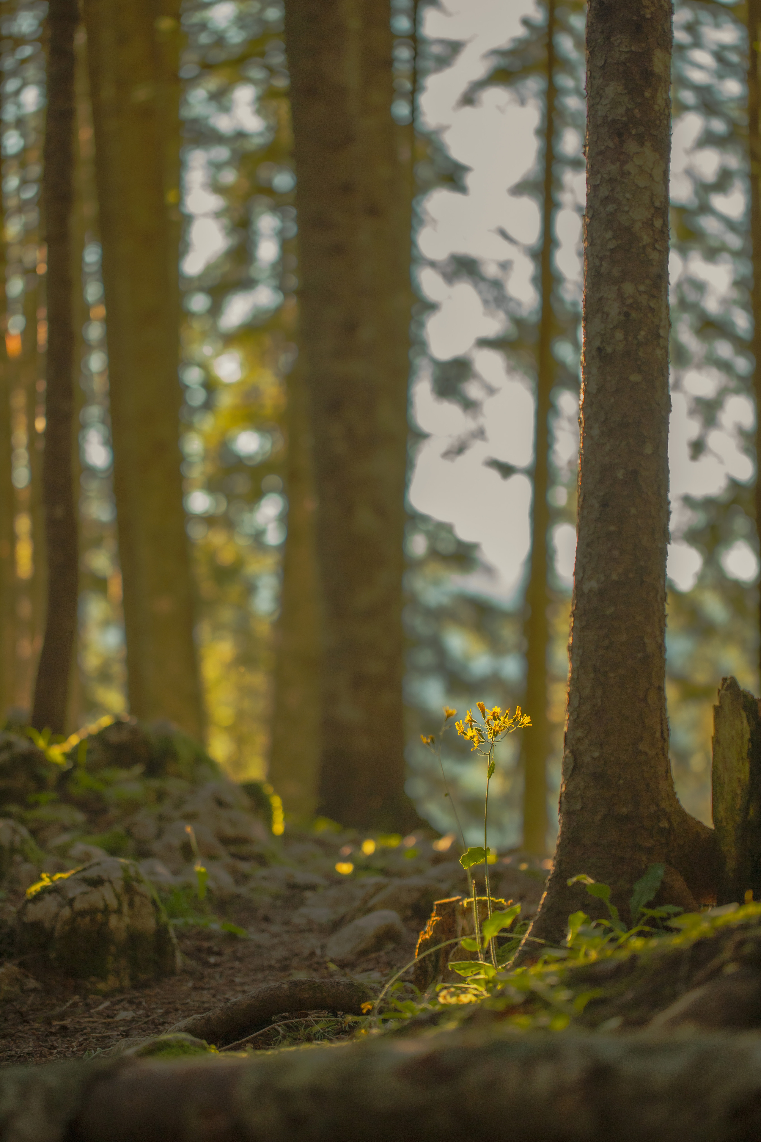 Around the World. Photographer and Videographer | Chisinau, Moldova