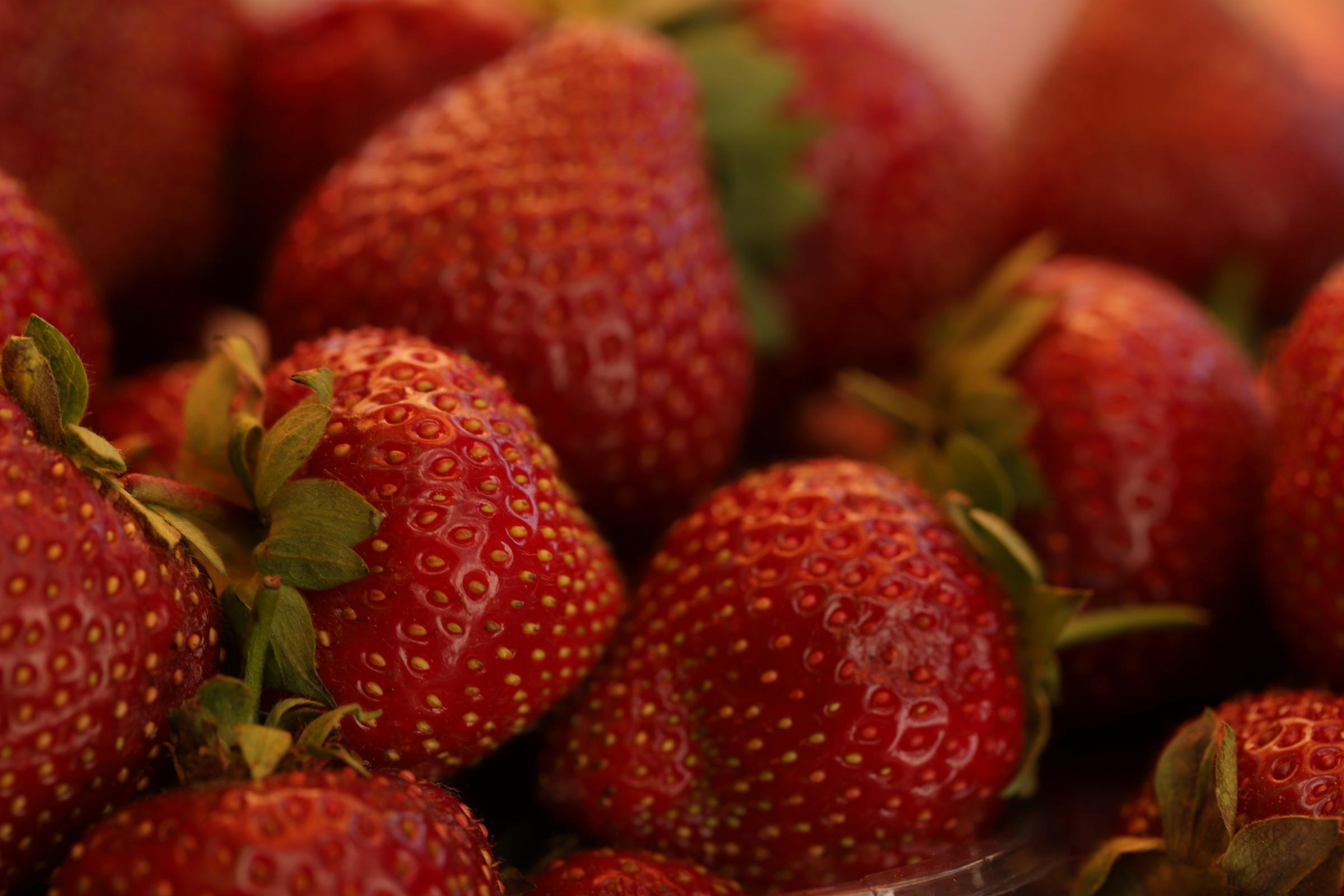 Around the World. Photographer and Videographer | Chisinau, Moldova