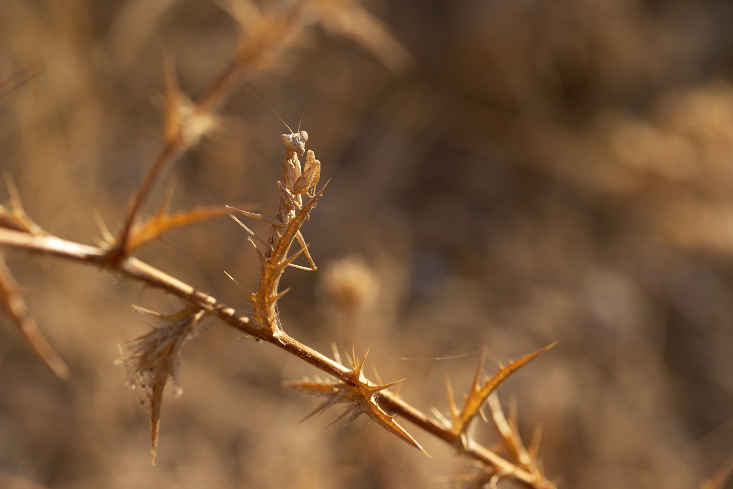 Around the World. Photographer and Videographer | Chisinau, Moldova