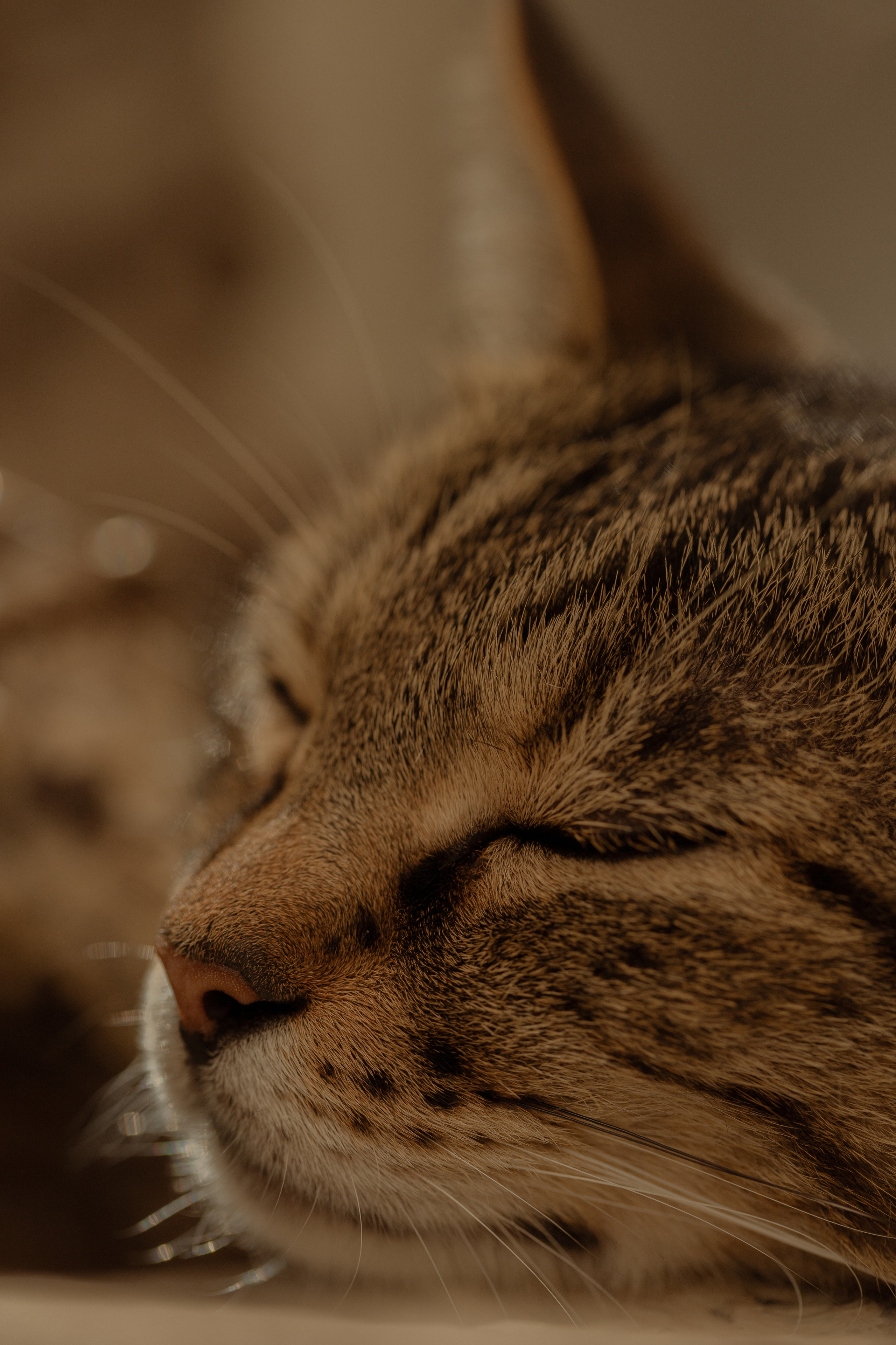 Around the World. Photographer and Videographer | Chisinau, Moldova