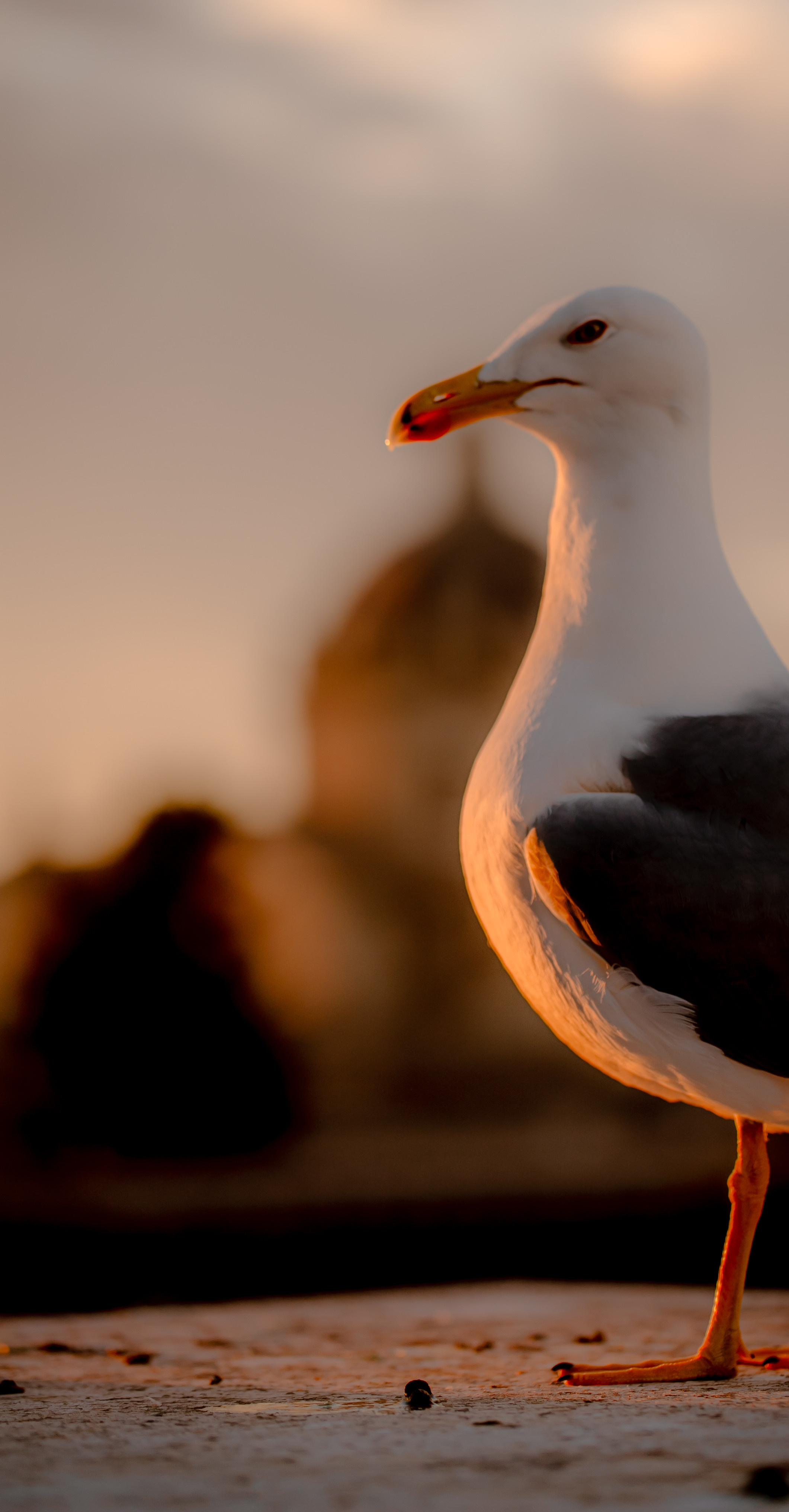 Around the World. Photographer and Videographer | Chisinau, Moldova