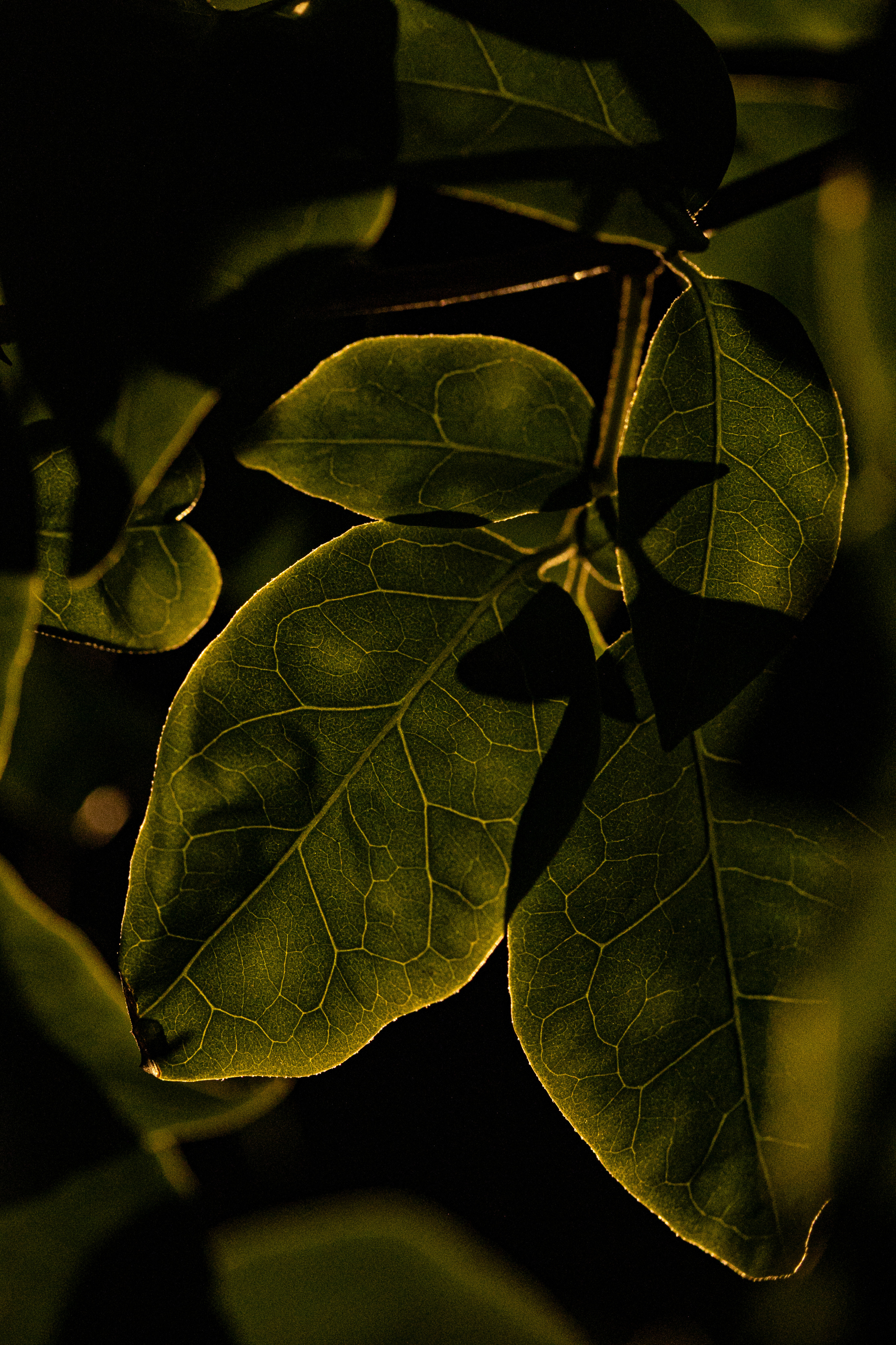 Around the World. Photographer and Videographer | Chisinau, Moldova