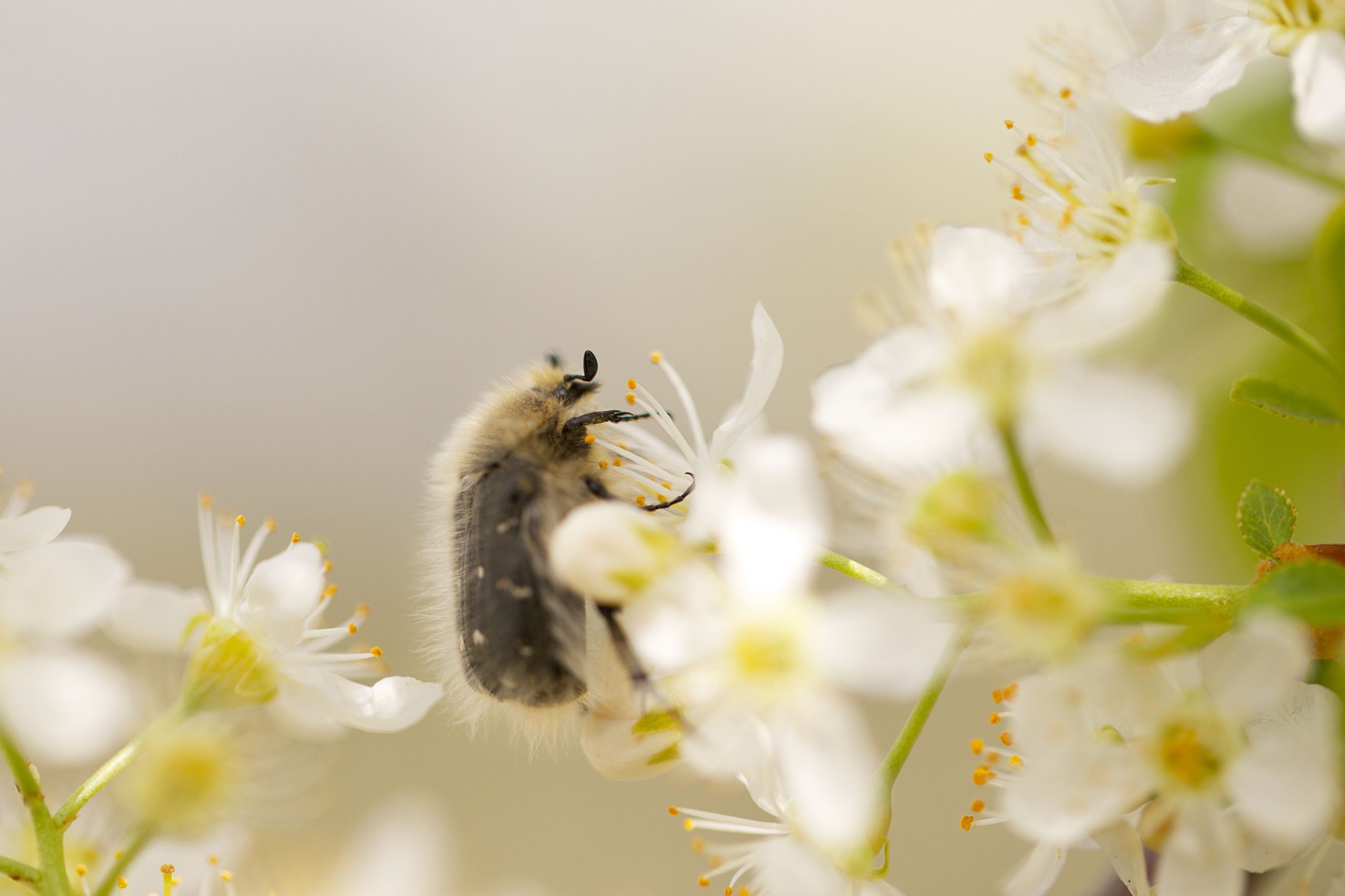 Around the World. Photographer and Videographer | Chisinau, Moldova