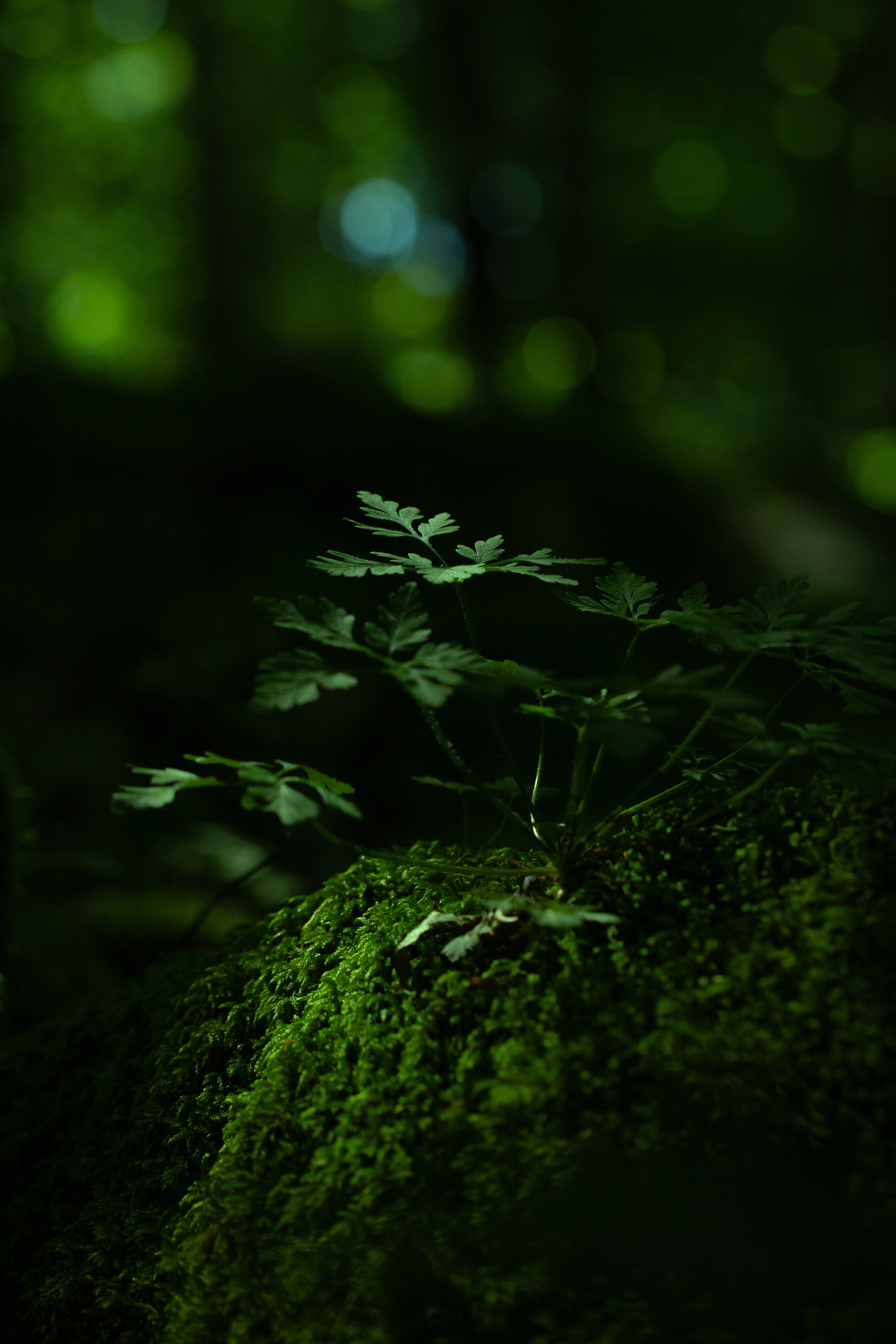 Around the World. Photographer and Videographer | Chisinau, Moldova