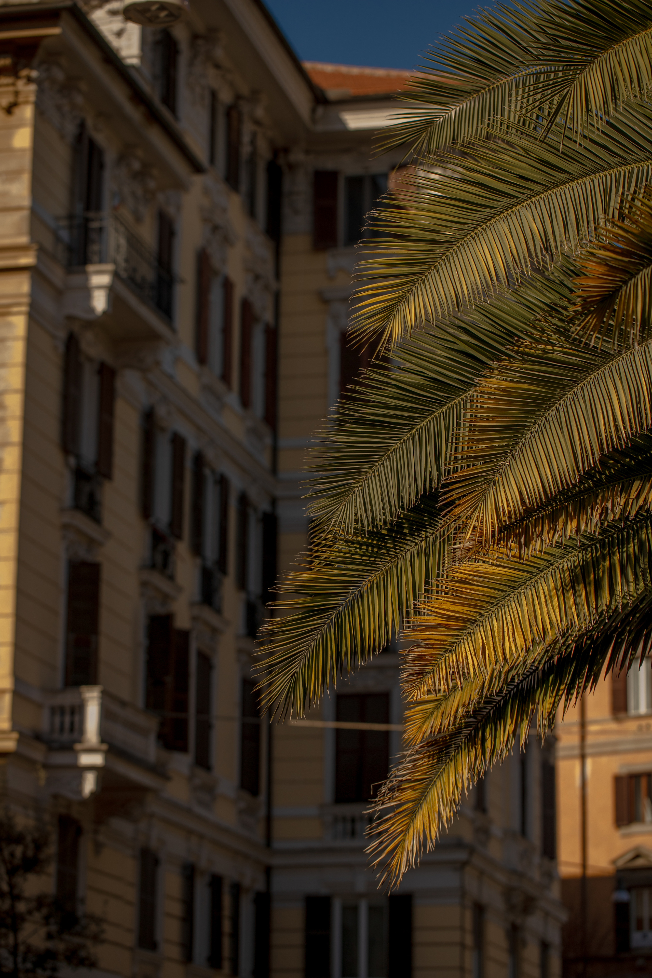 Around the World. Photographer and Videographer | Chisinau, Moldova