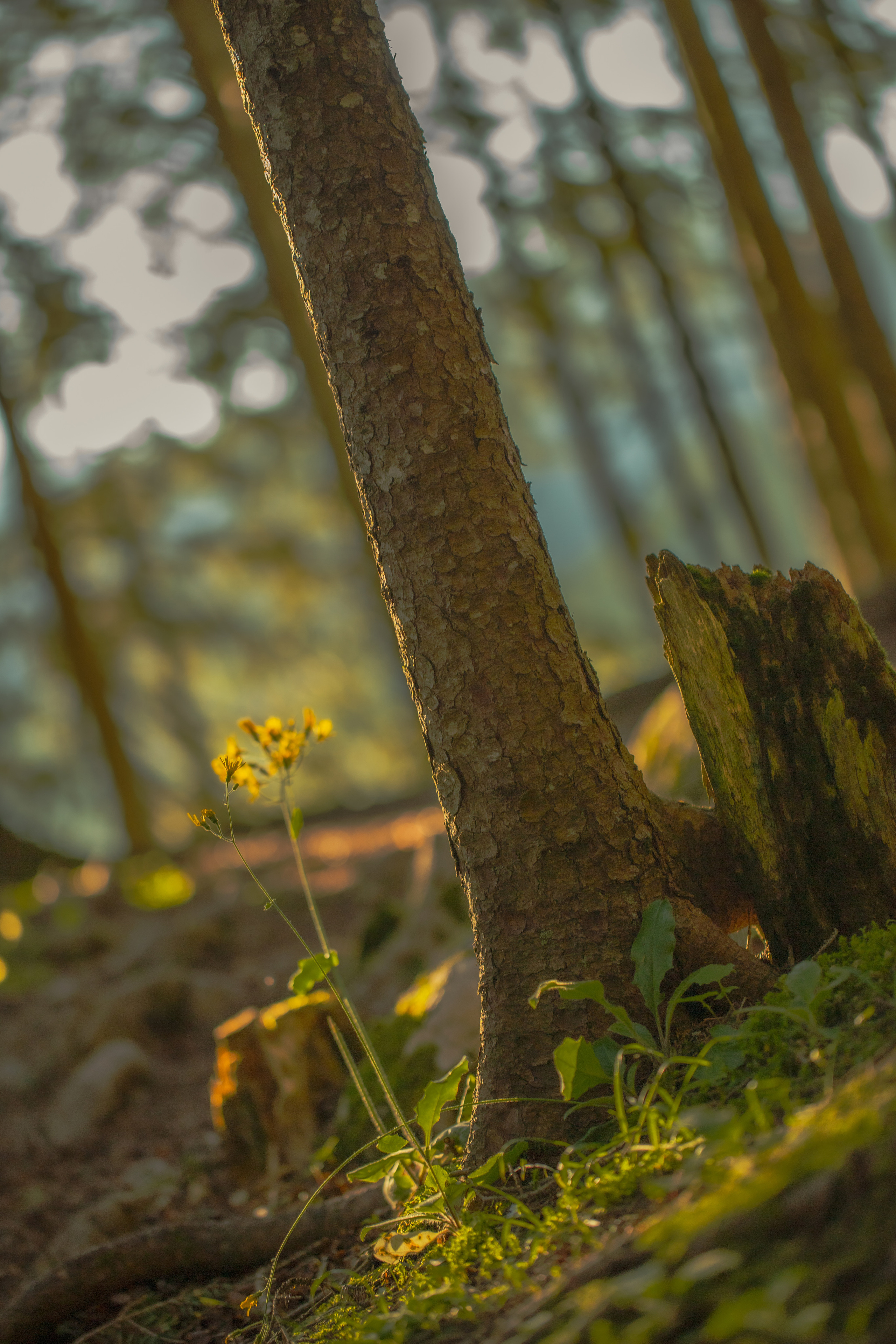 Around the World. Photographer and Videographer | Chisinau, Moldova