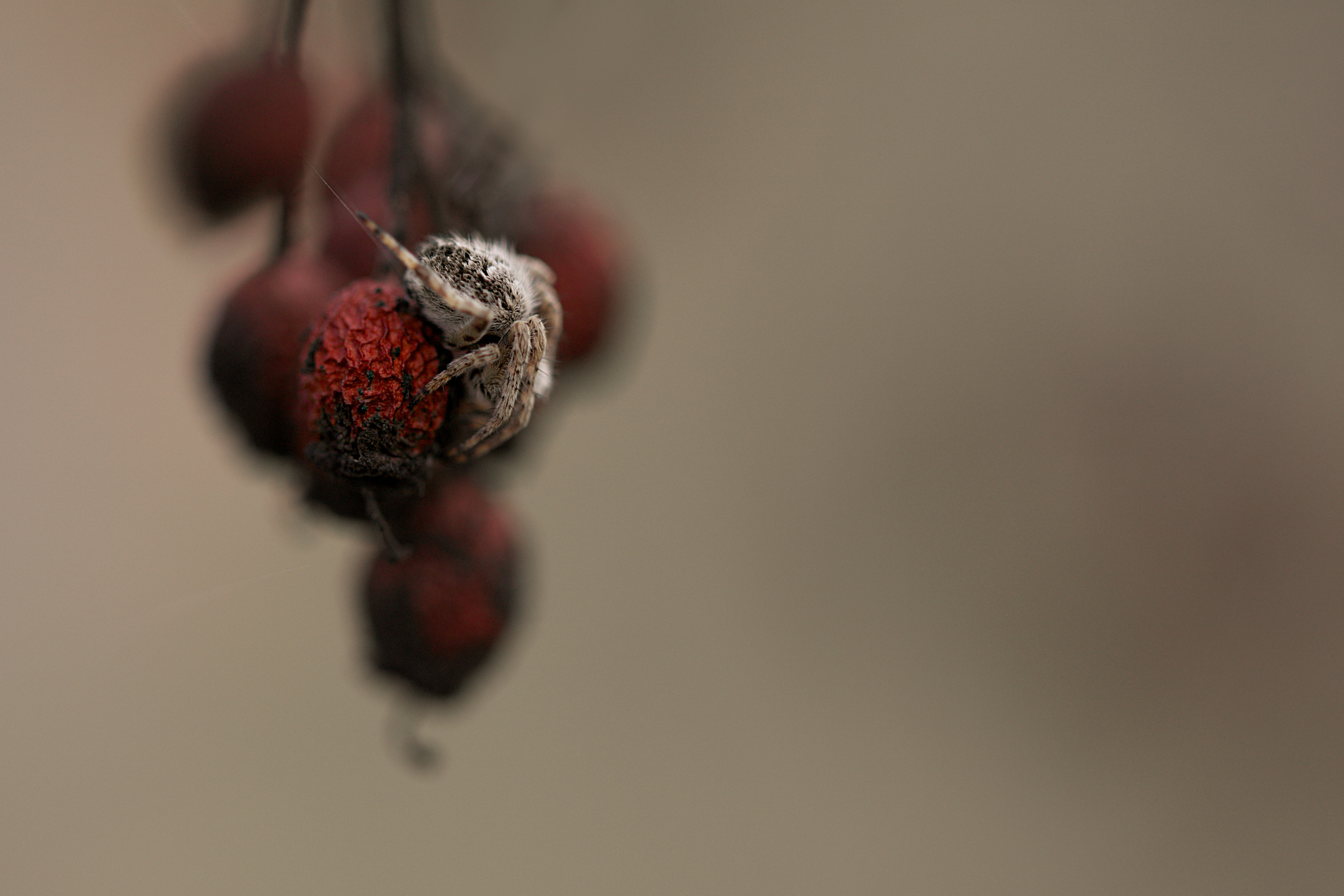 Around the World. Photographer and Videographer | Chisinau, Moldova