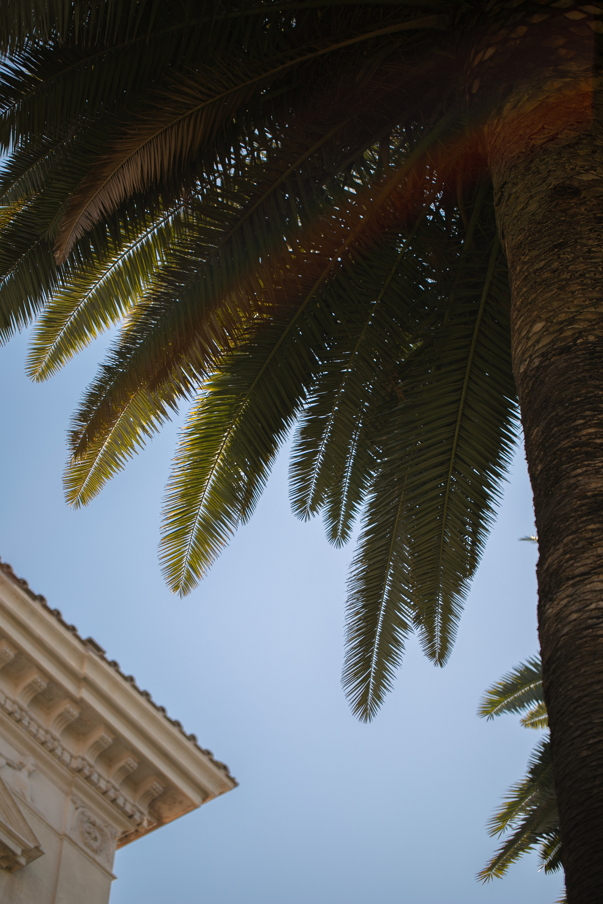 Around the World. Photographer and Videographer | Chisinau, Moldova