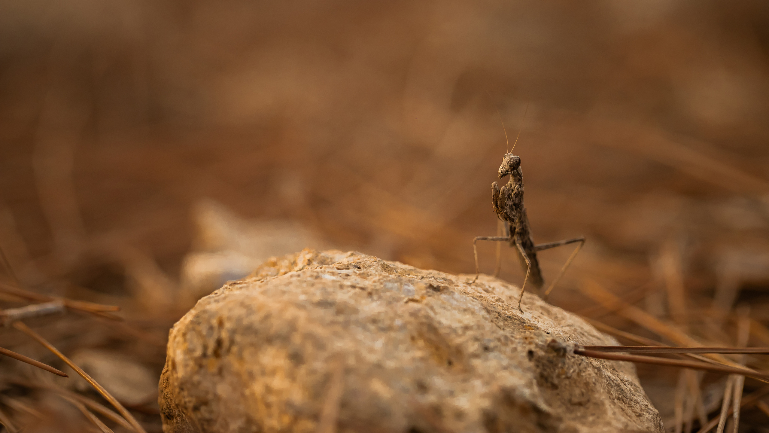 Around the World. Photographer and Videographer | Chisinau, Moldova