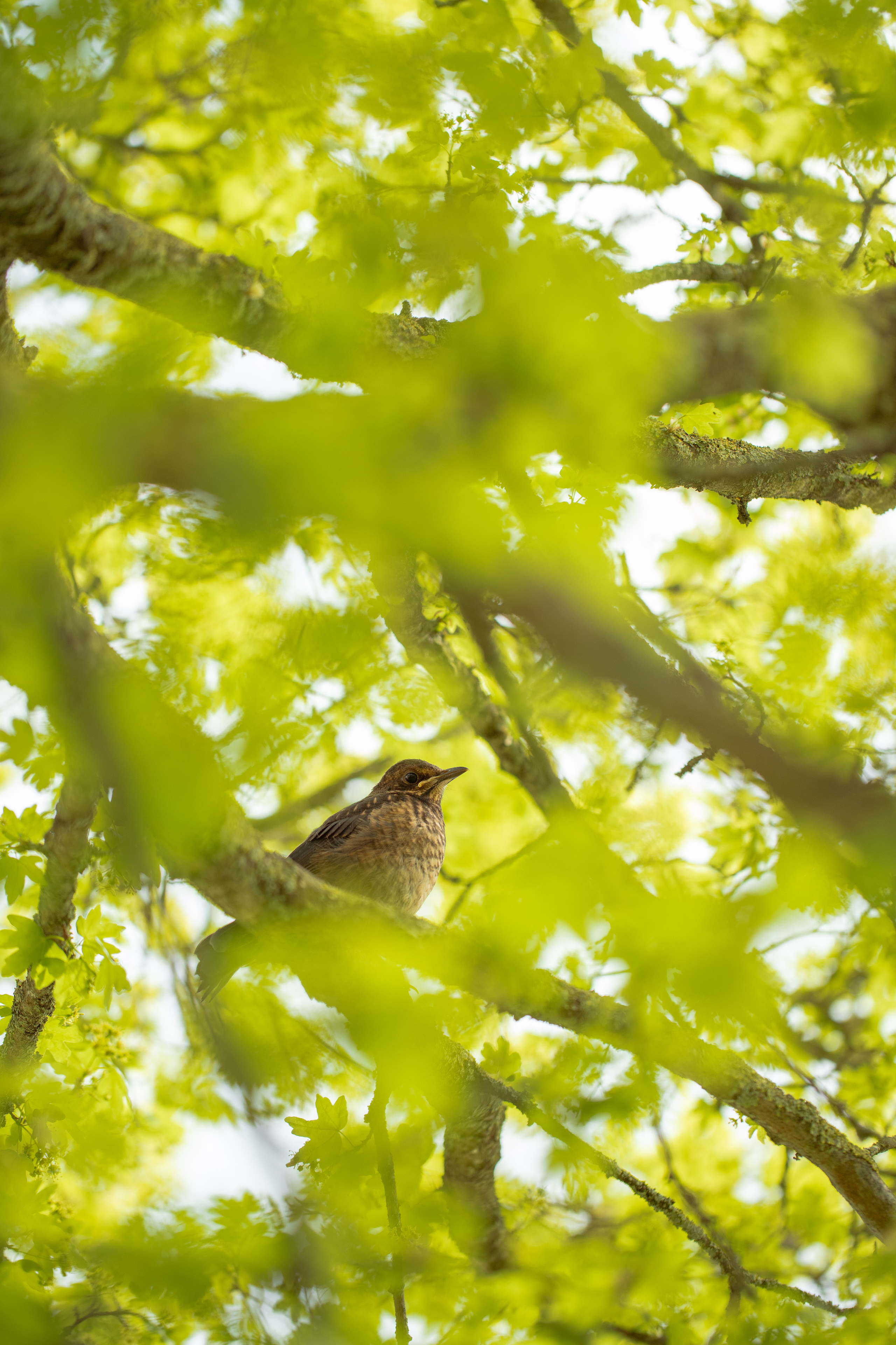 Around the World. Photographer and Videographer | Chisinau, Moldova