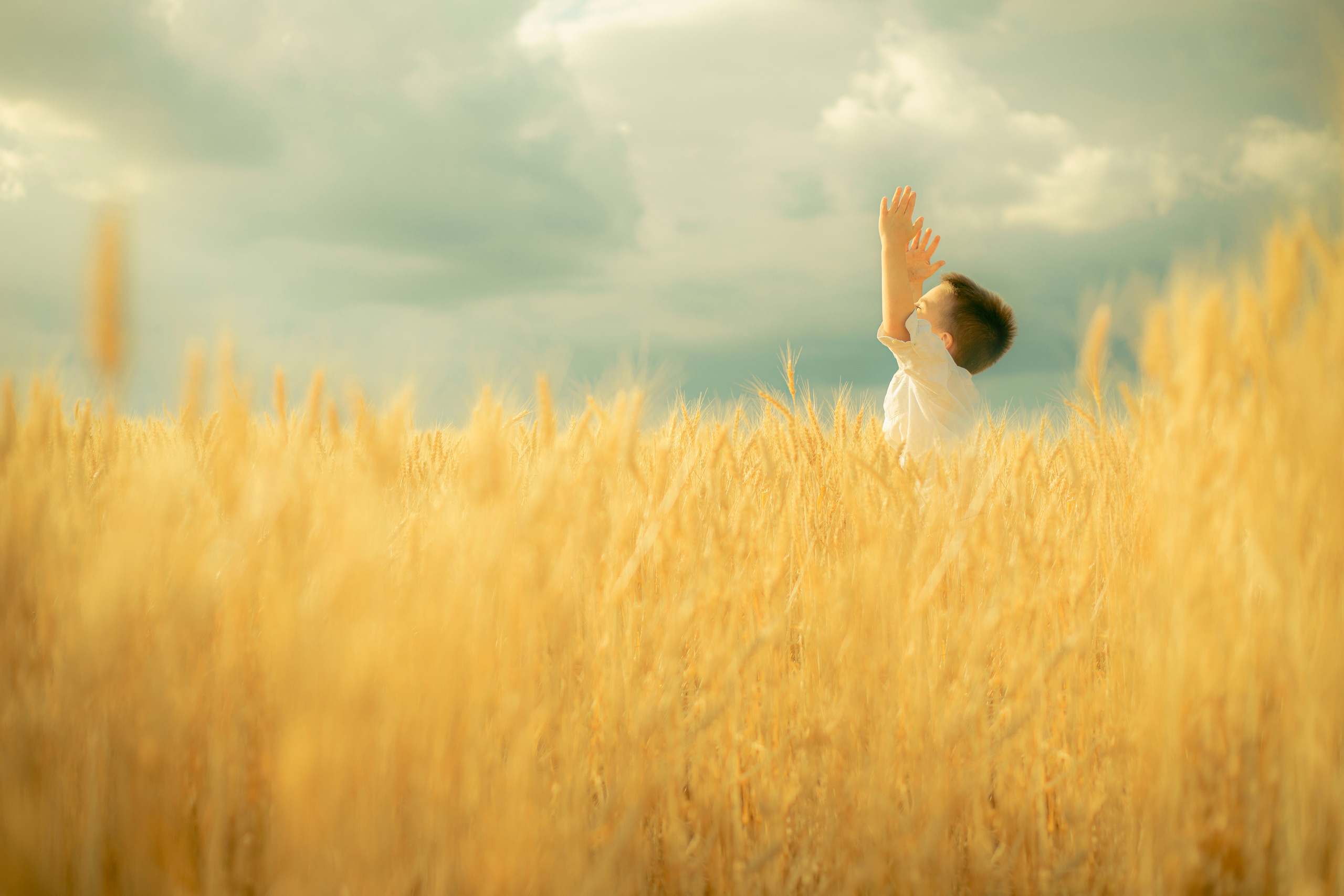 Ședință foto de familie. Fotograf și Videograf | Chișinău, Moldova