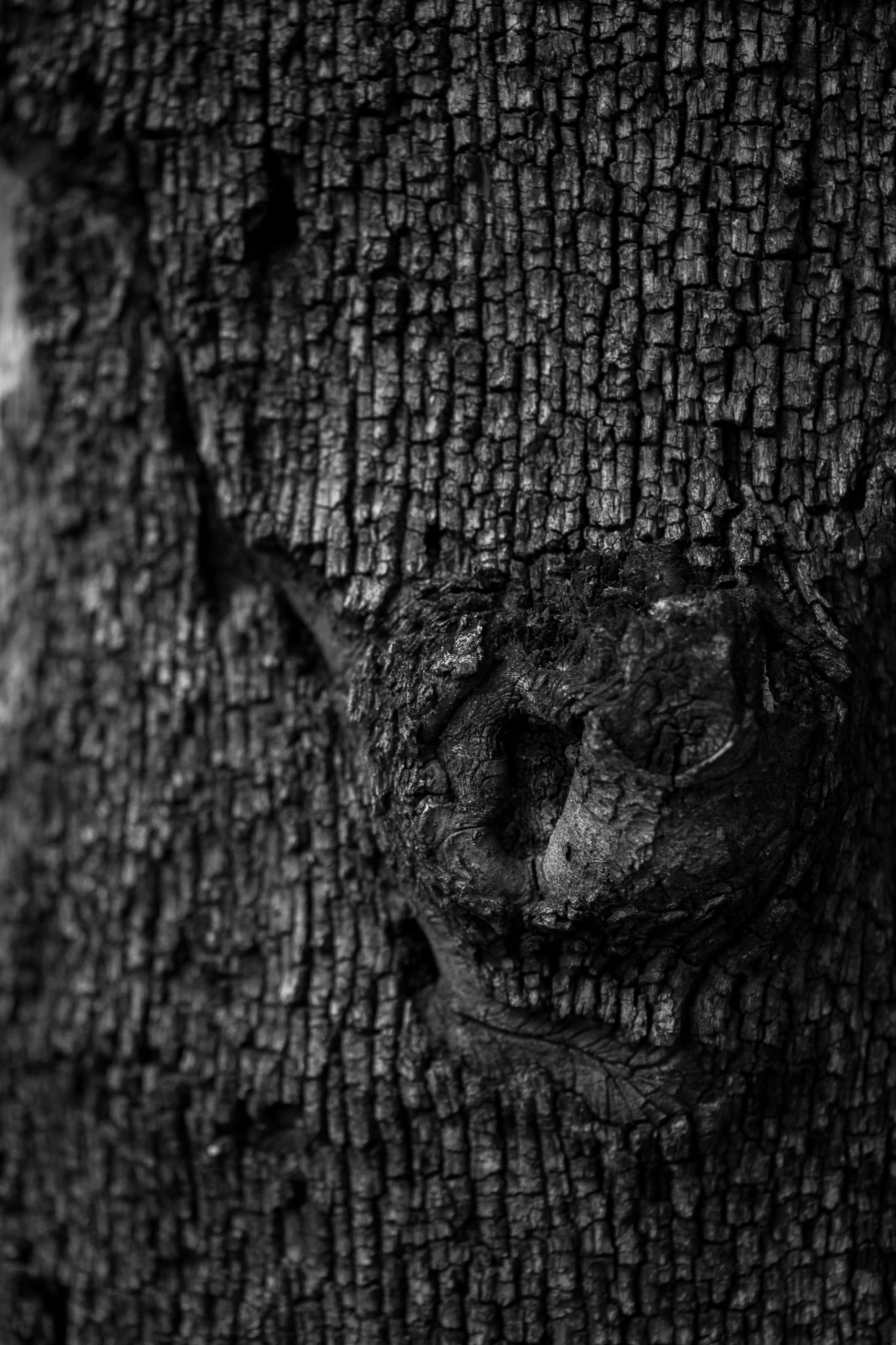 Around the World. Photographer and Videographer | Chisinau, Moldova